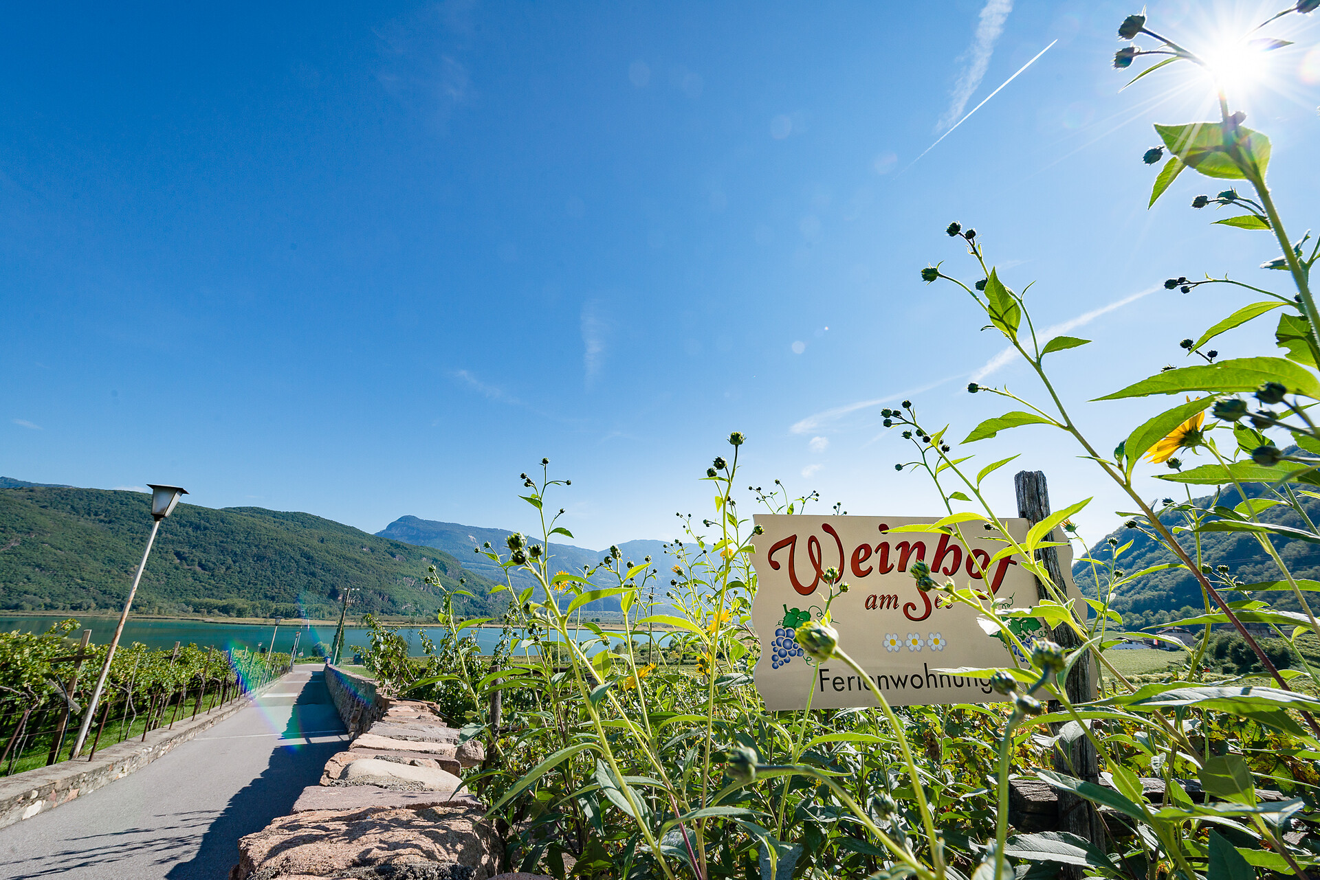 Weinhof am See