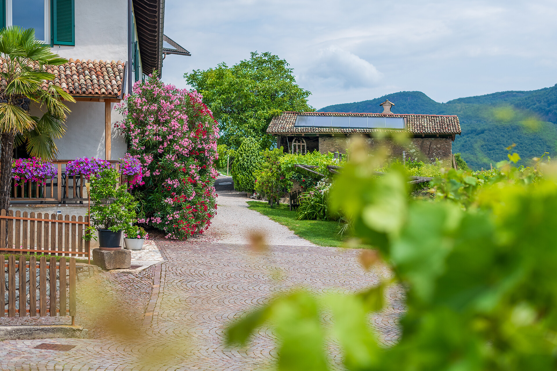 Weinhof am See