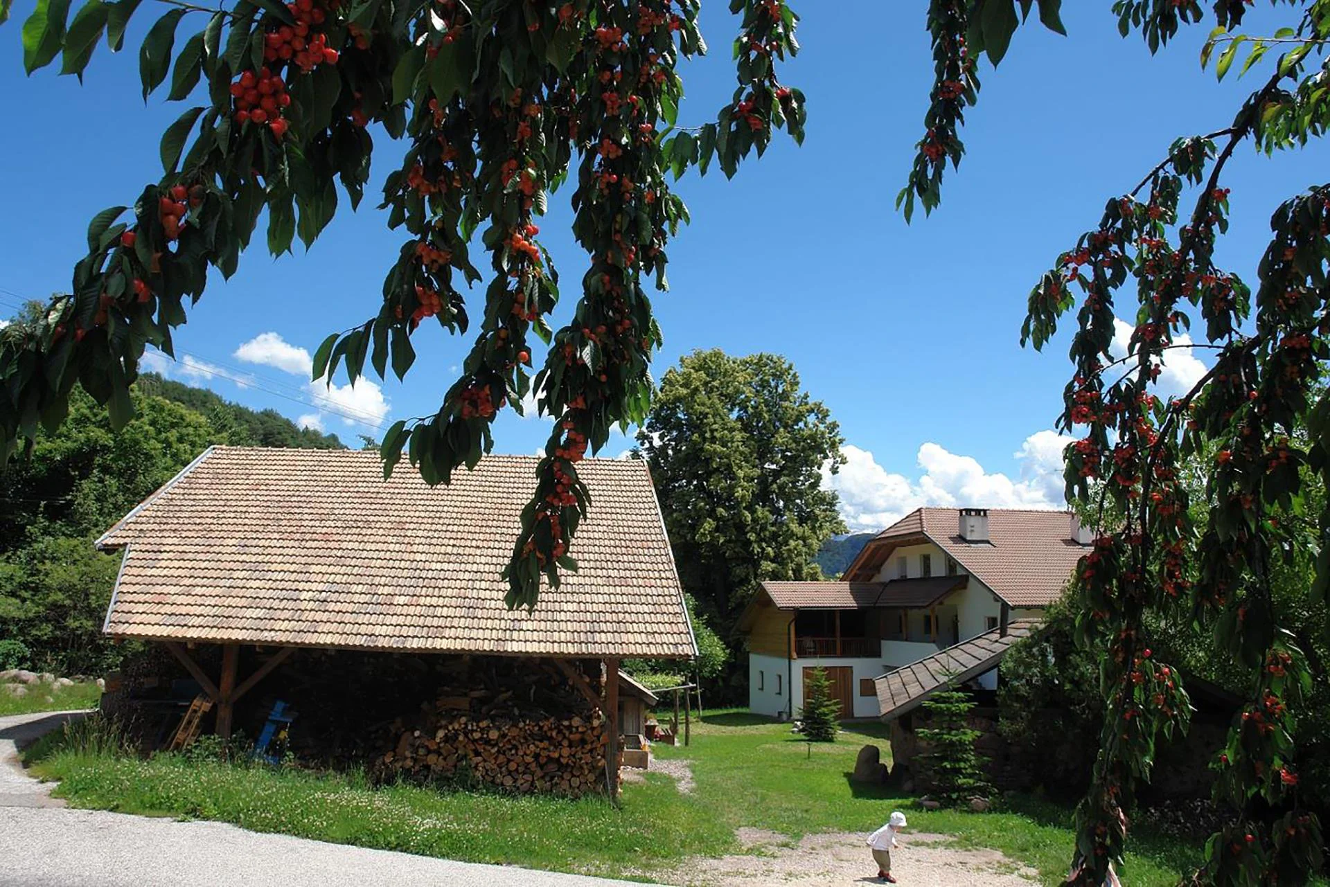 Wiesman Hof San Genesio Atesino 3 suedtirol.info