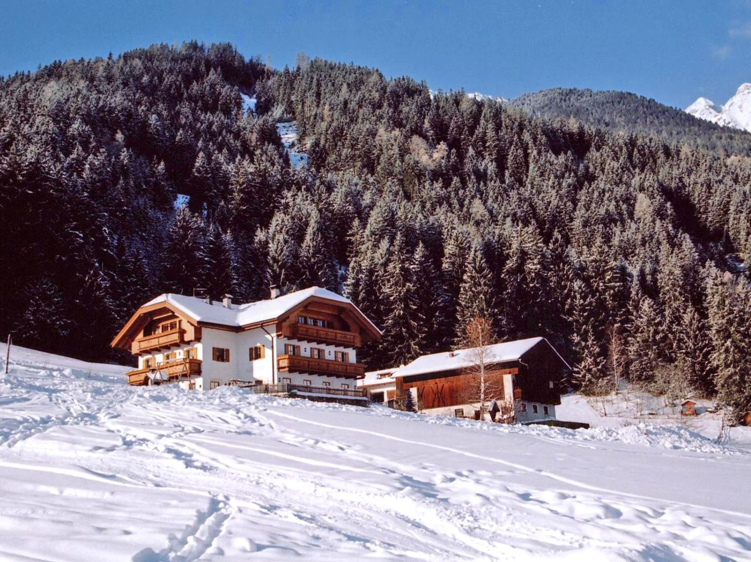 Waldrasthof Rasen-Antholz/Rasun Anterselva 1 suedtirol.info