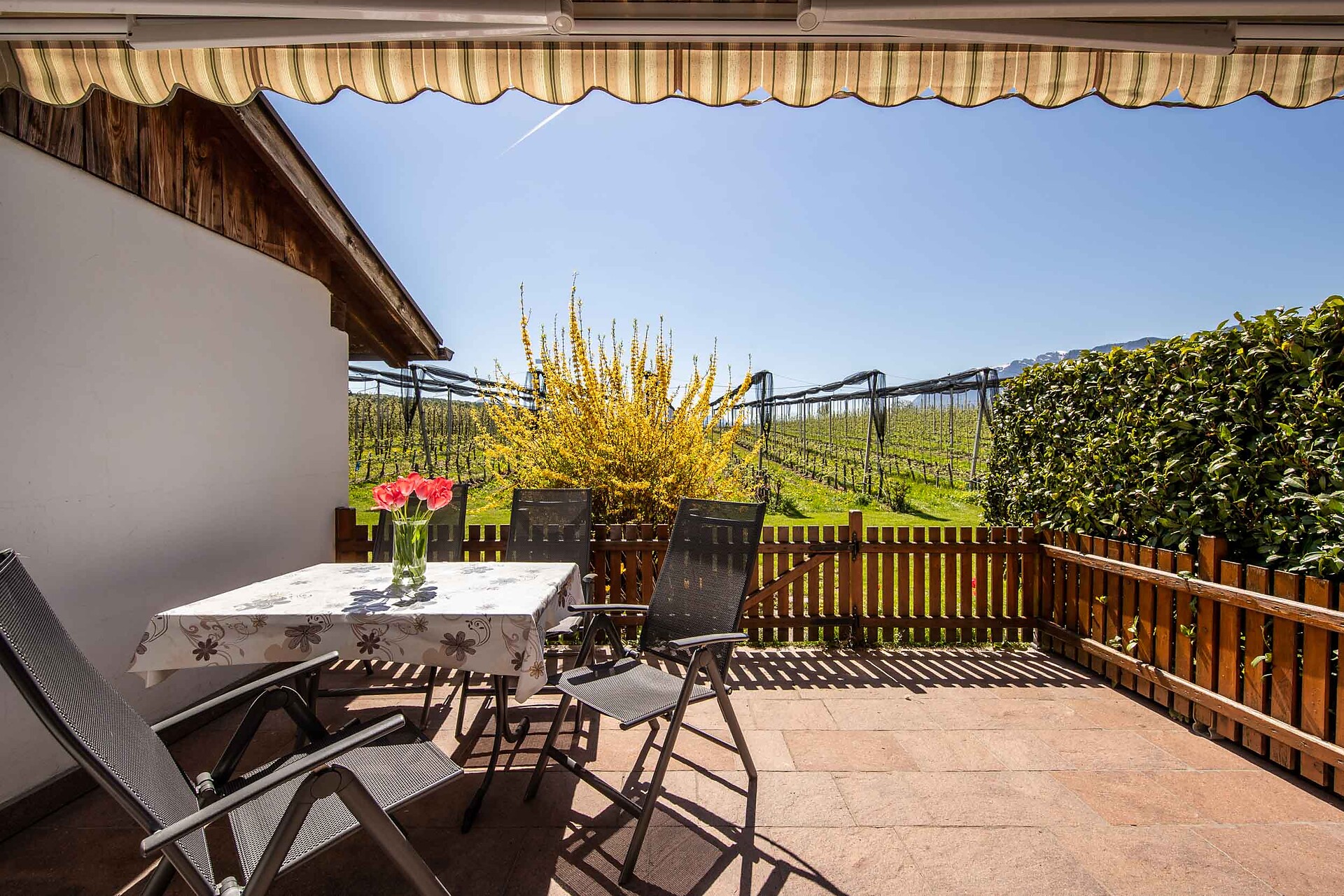 Appartement Garten