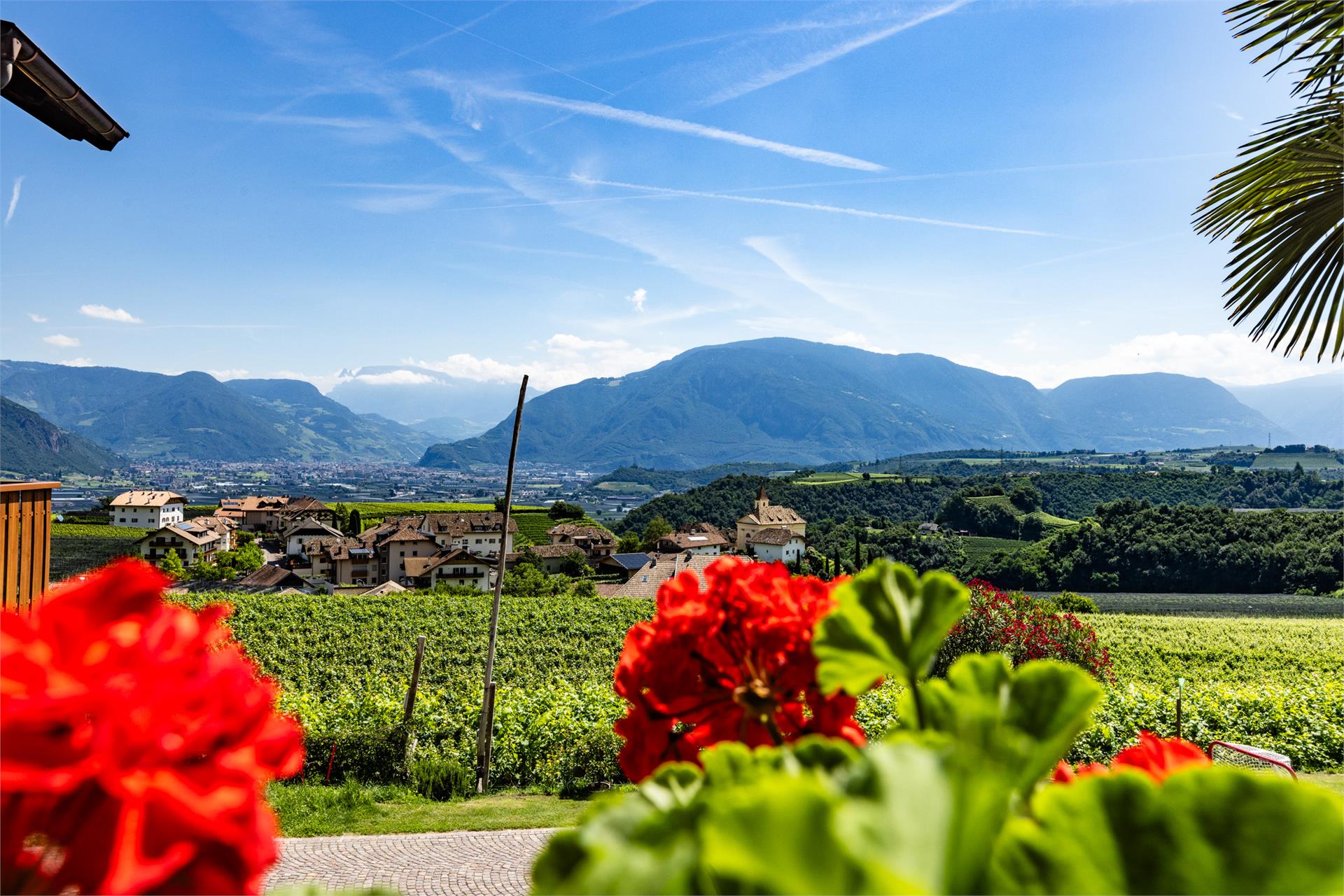 Weinhof Kager Appiano sulla Strada del Vino 10 suedtirol.info