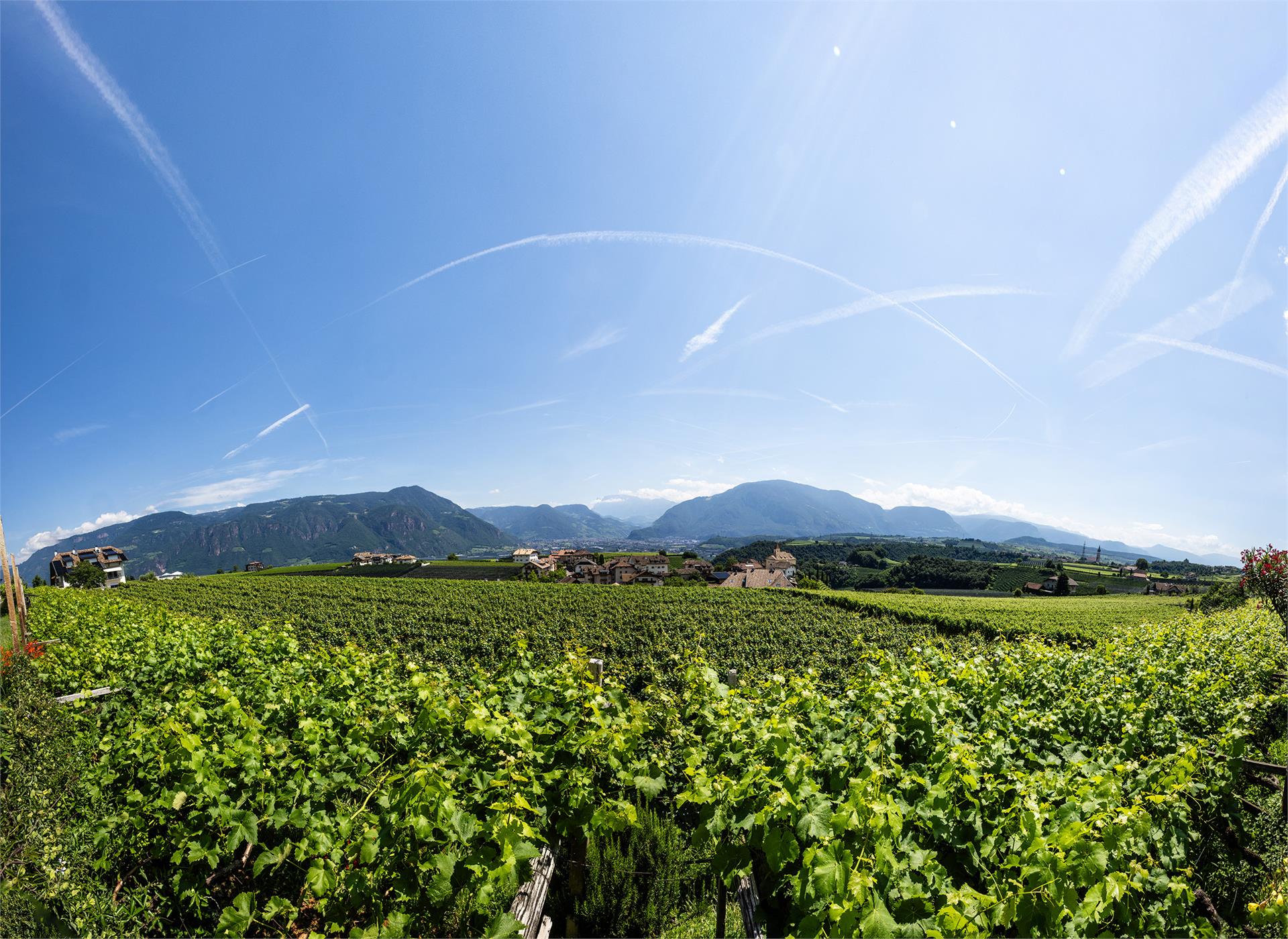 Weinhof Kager Appiano sulla Strada del Vino 7 suedtirol.info