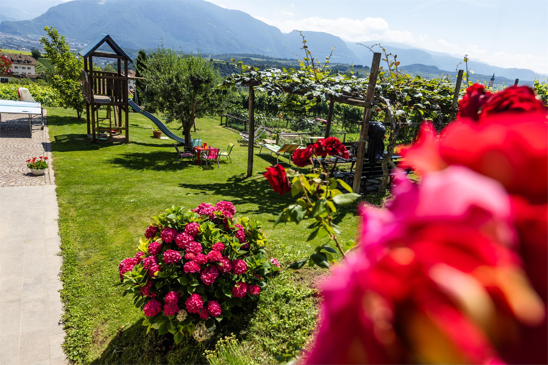 Weinhof Kager Appiano sulla Strada del Vino 4 suedtirol.info