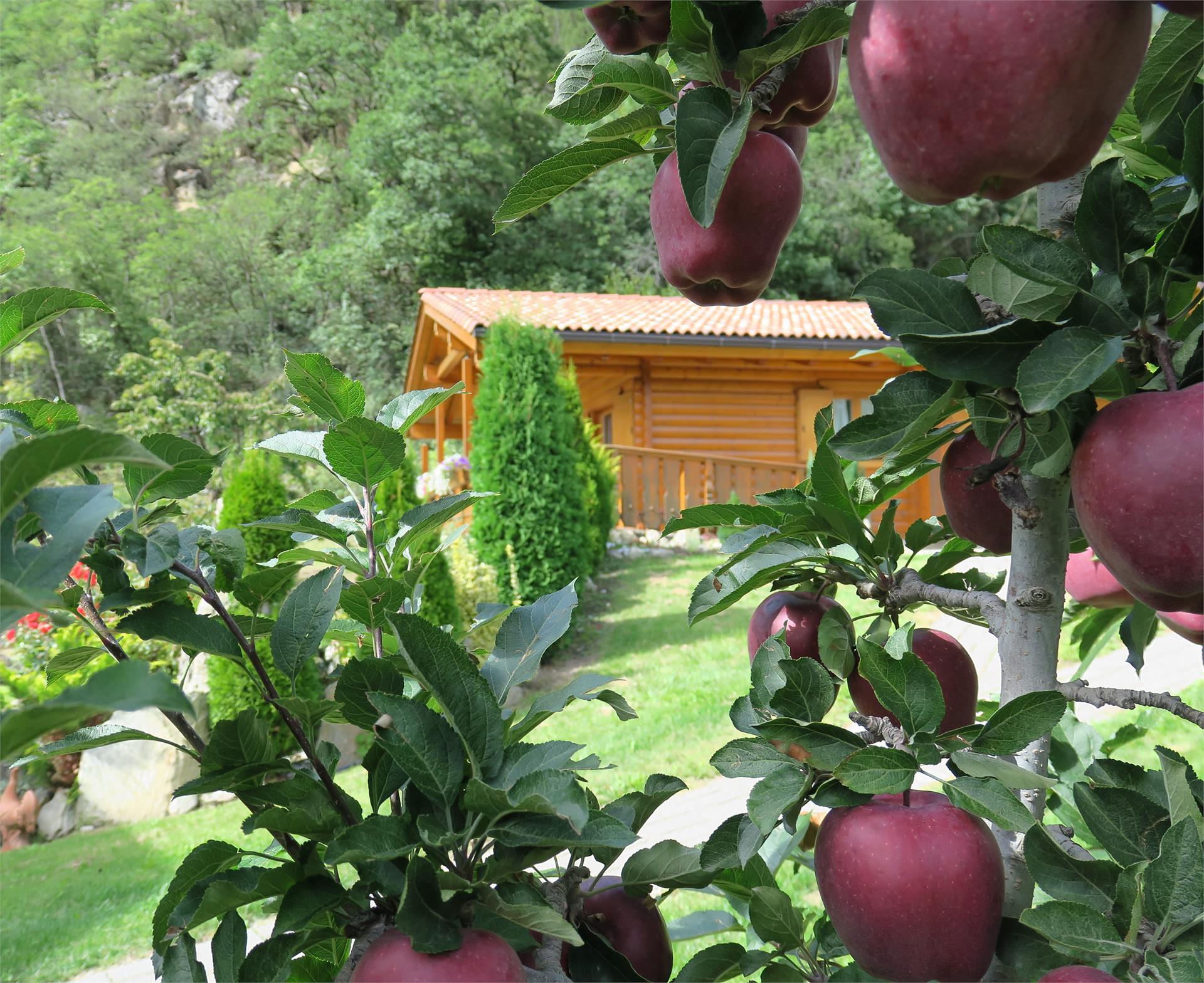 Winklerhof Partschins 9 suedtirol.info