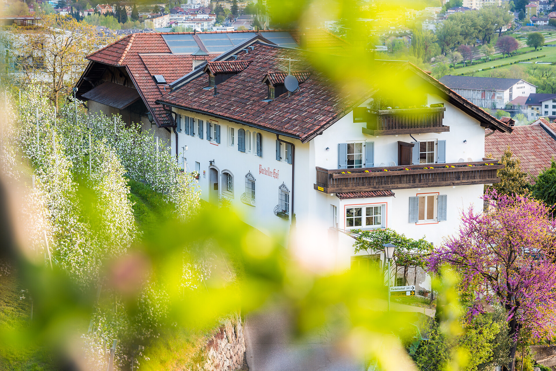Pardellerhof