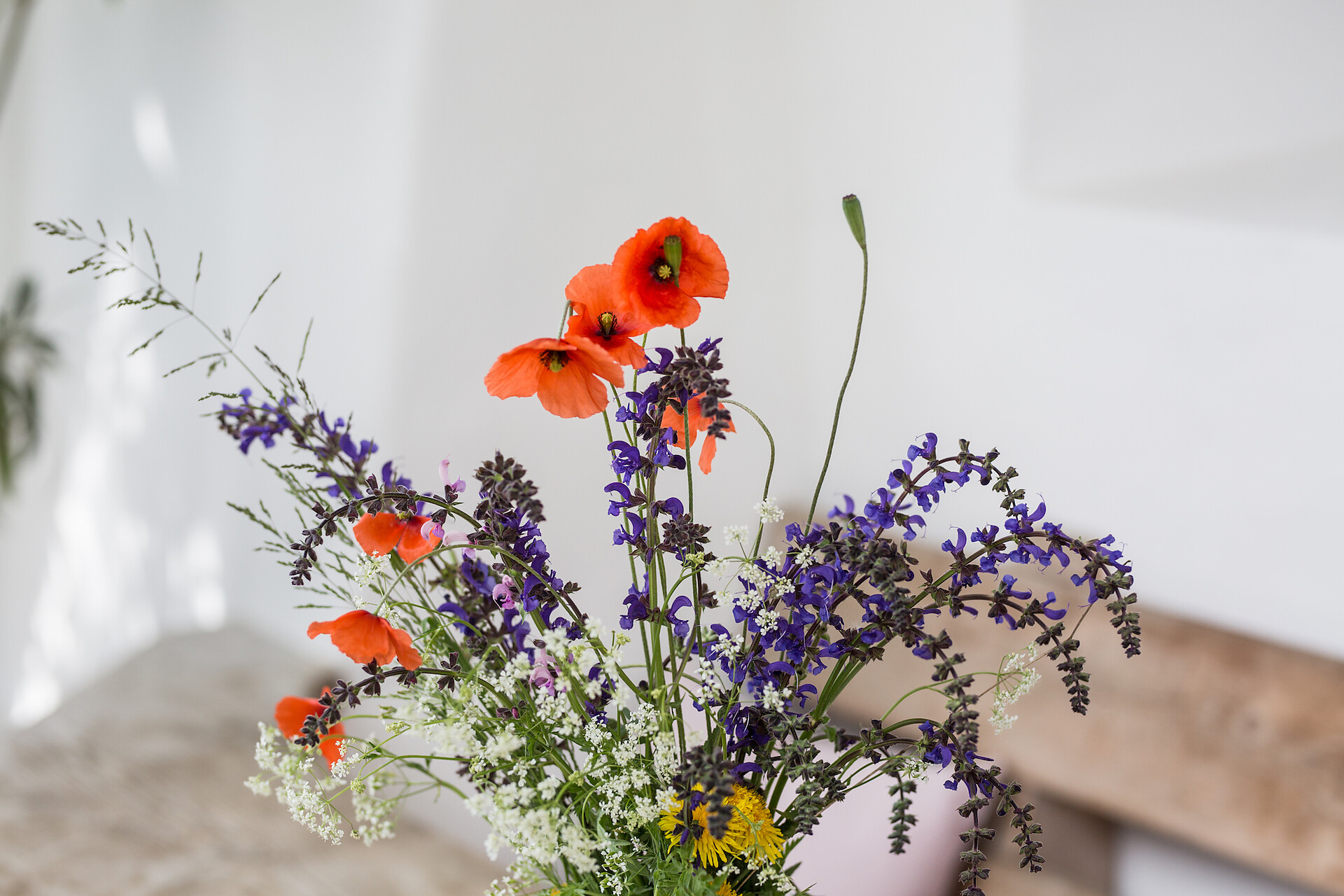 Frühlingsblumen aus dem Weinberg