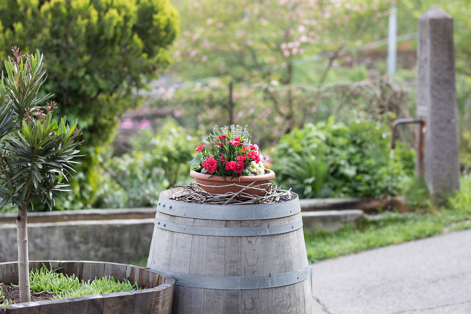 Blumen und Fass am Eingangstor