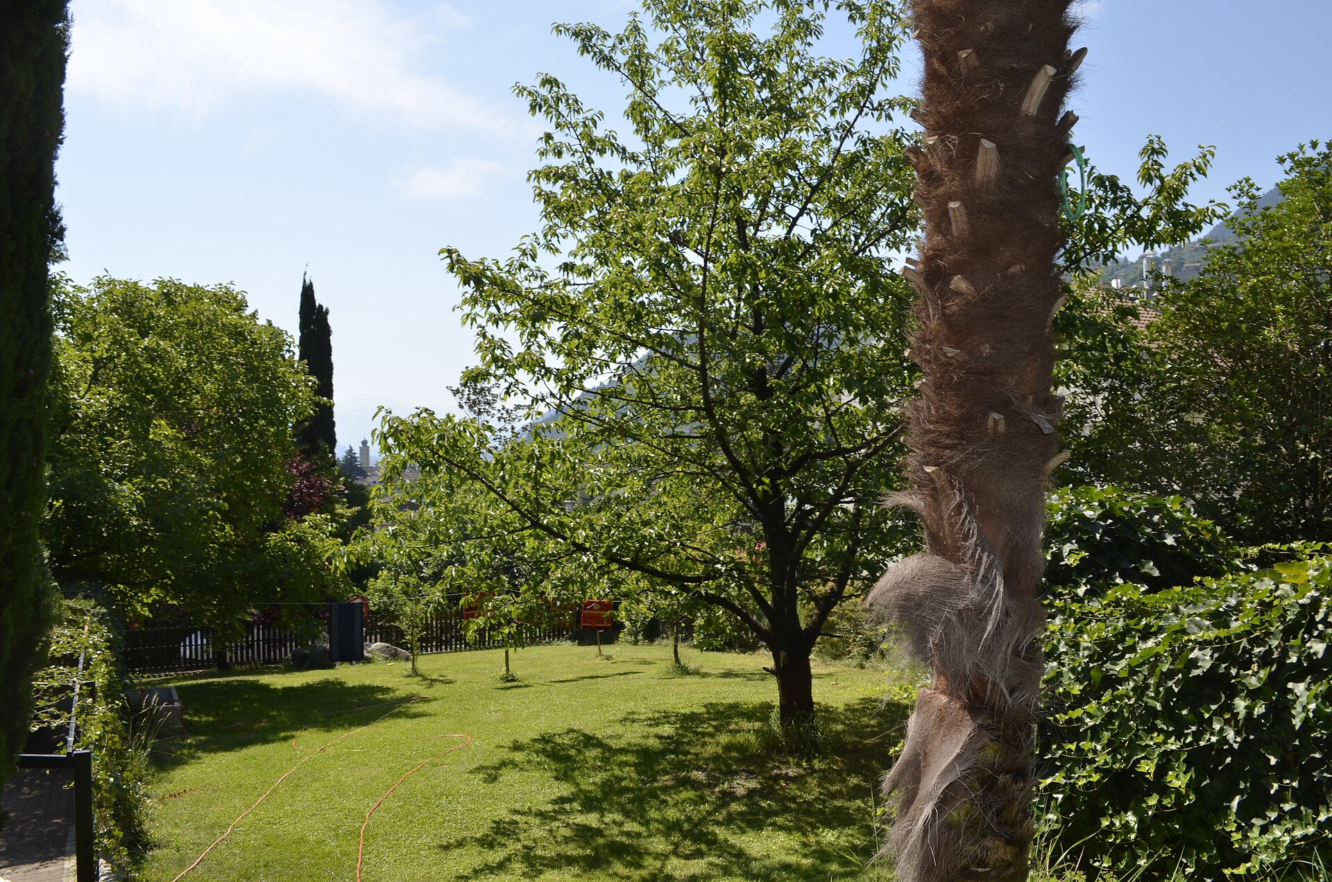Giardino