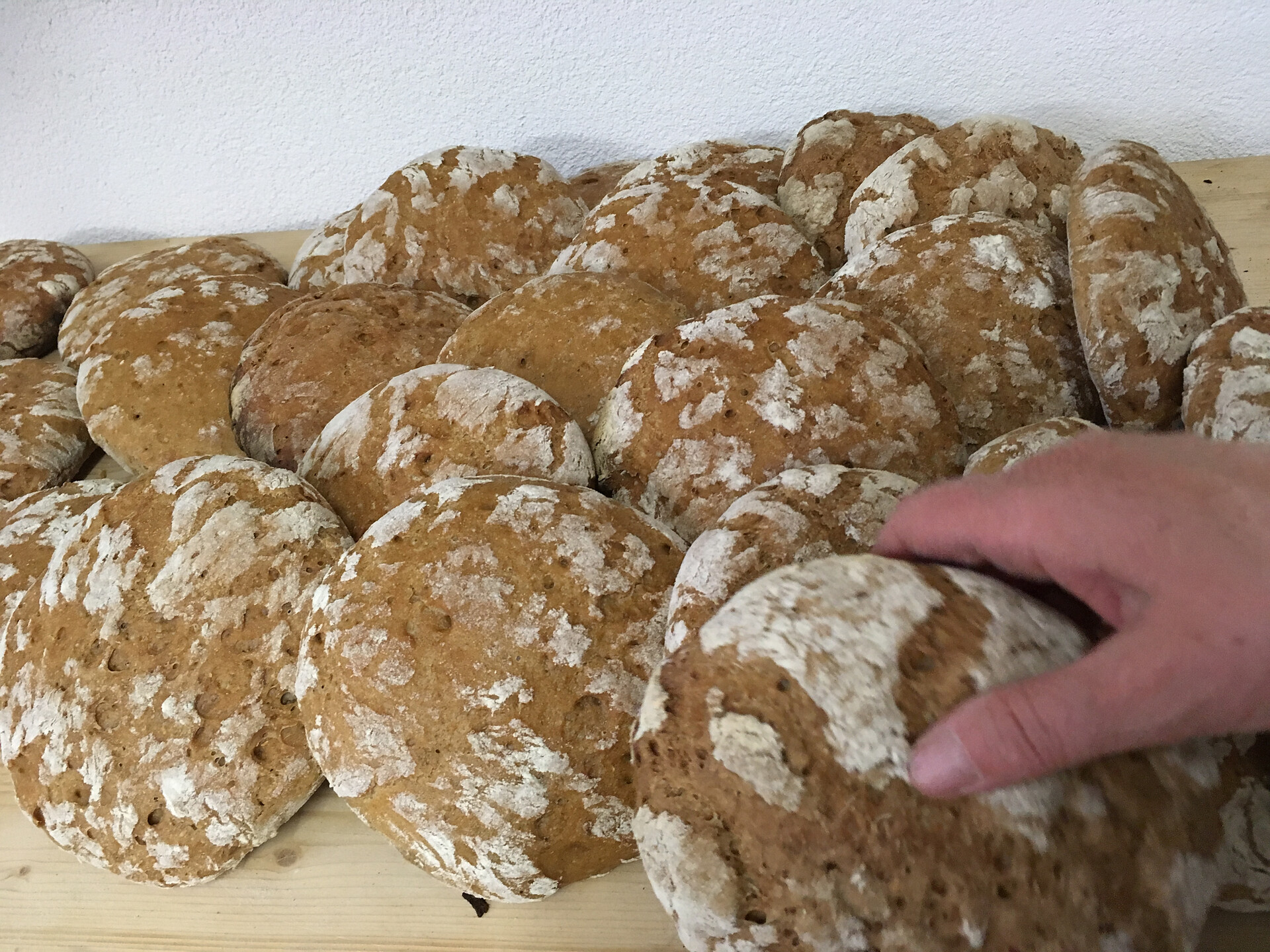 Brot