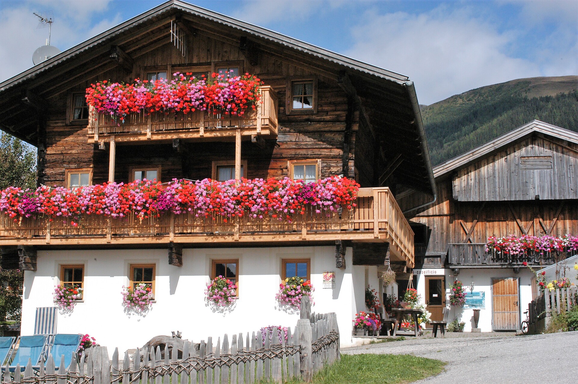 Waldsamerhof Sommer