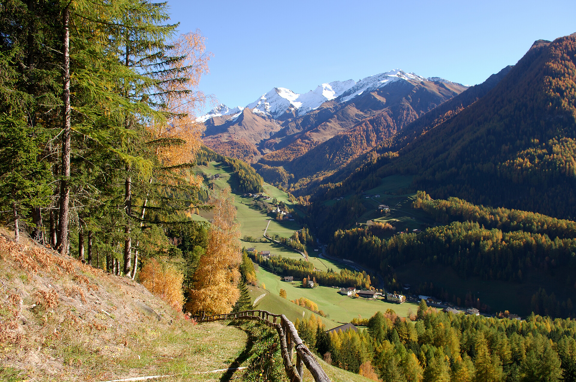 Autum