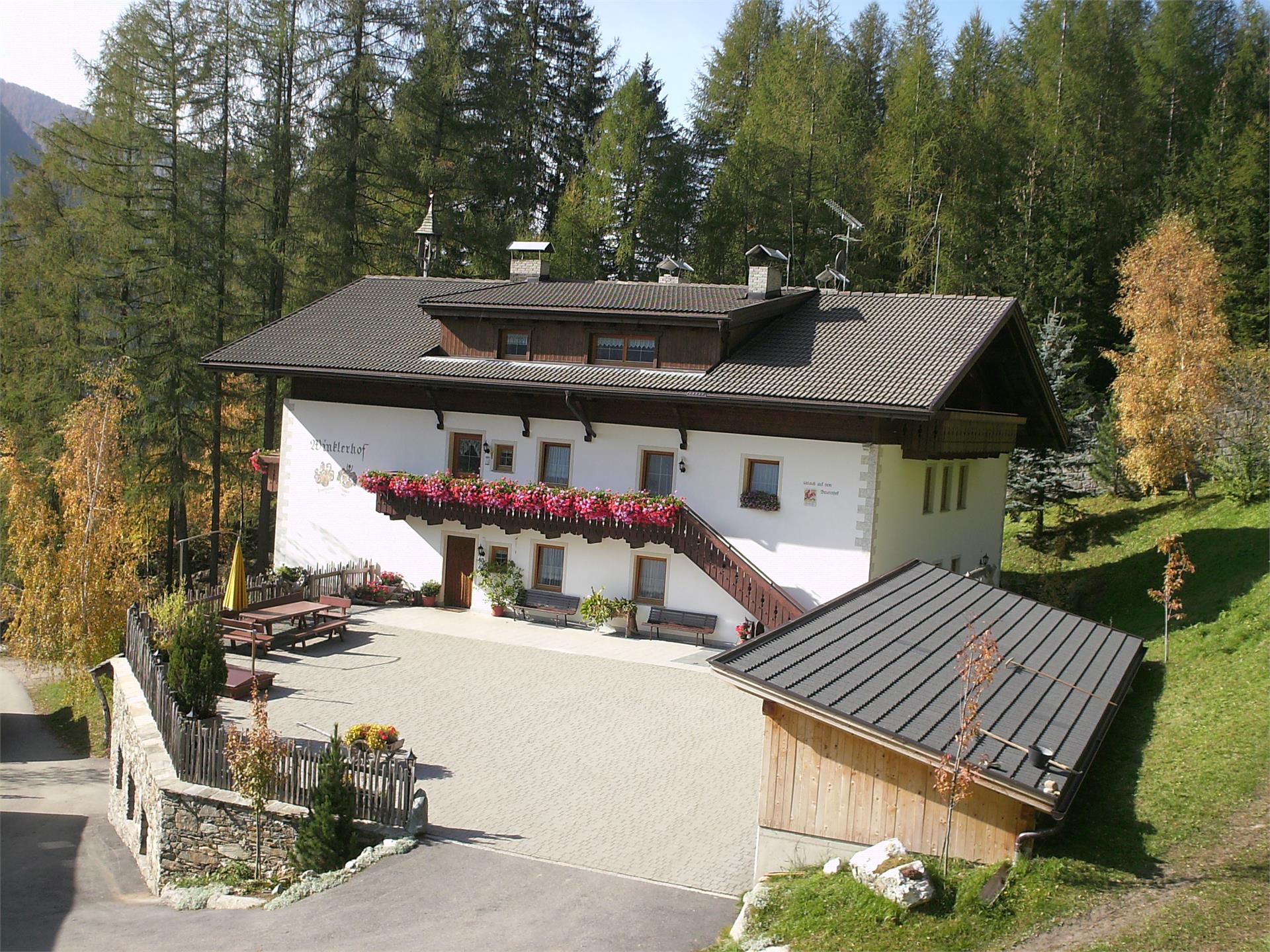 Winklerhof Ahrntal/Valle Aurina 1 suedtirol.info