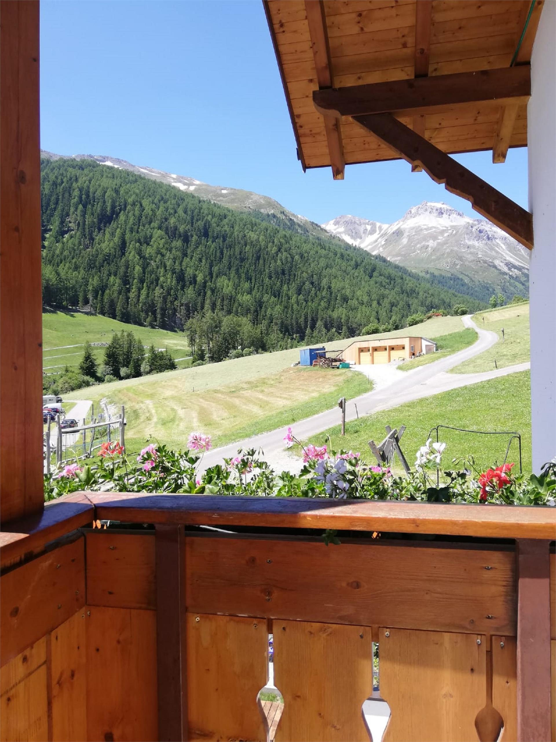 Wastlhof Mals 16 suedtirol.info