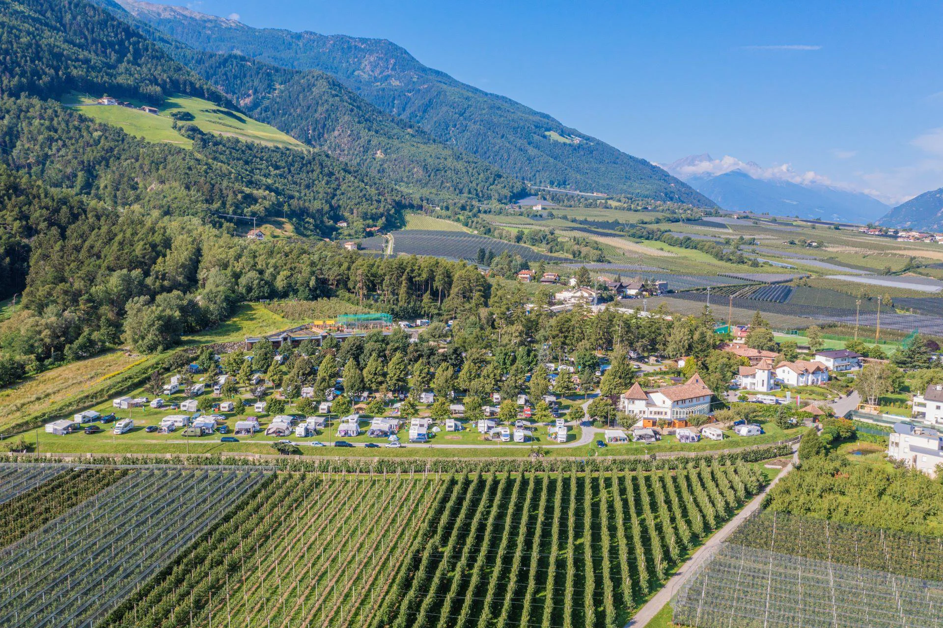 Waldcamping Naturns 1 suedtirol.info