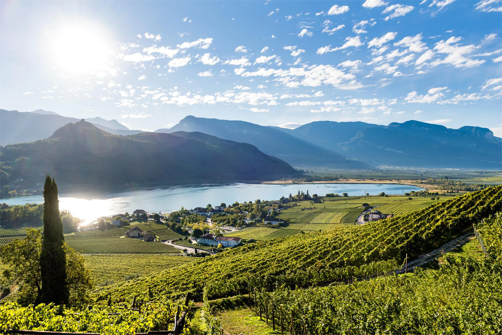 Ap. Winklkeller Kaltern an der Weinstraße/Caldaro sulla Strada del Vino 2 suedtirol.info
