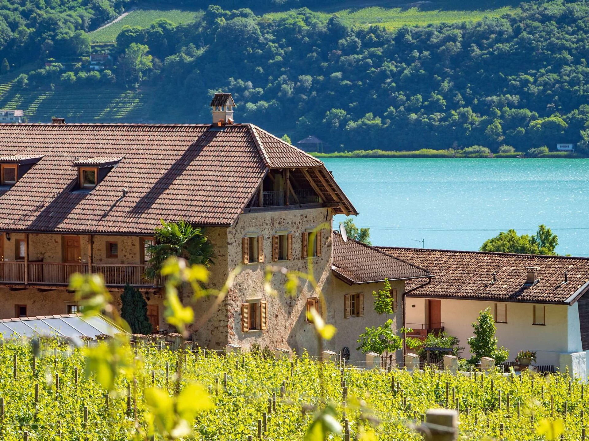 Ap. Winklkeller - Alto Adige Wine Road - #1 - suedtirol.info