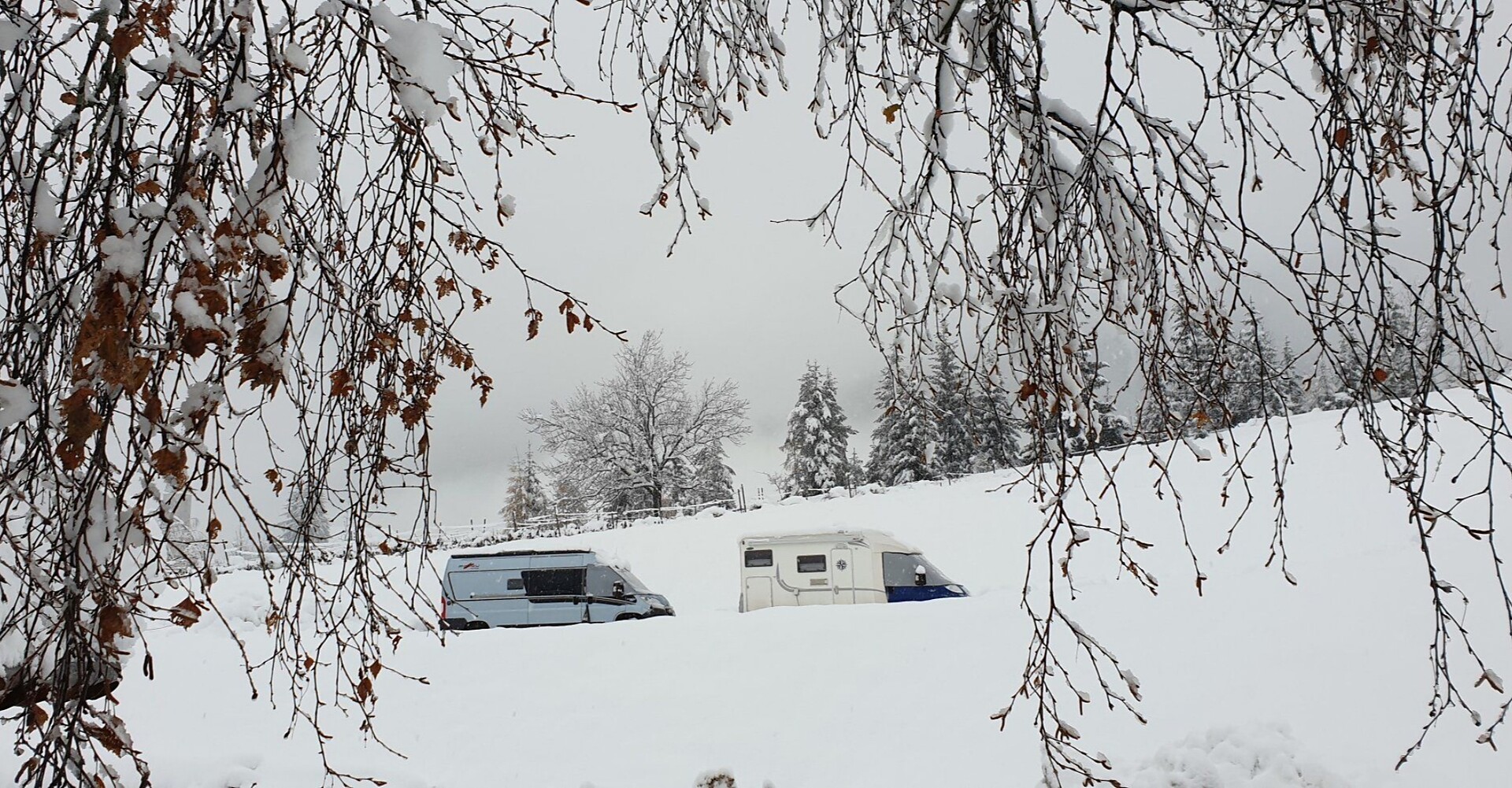 Camper site