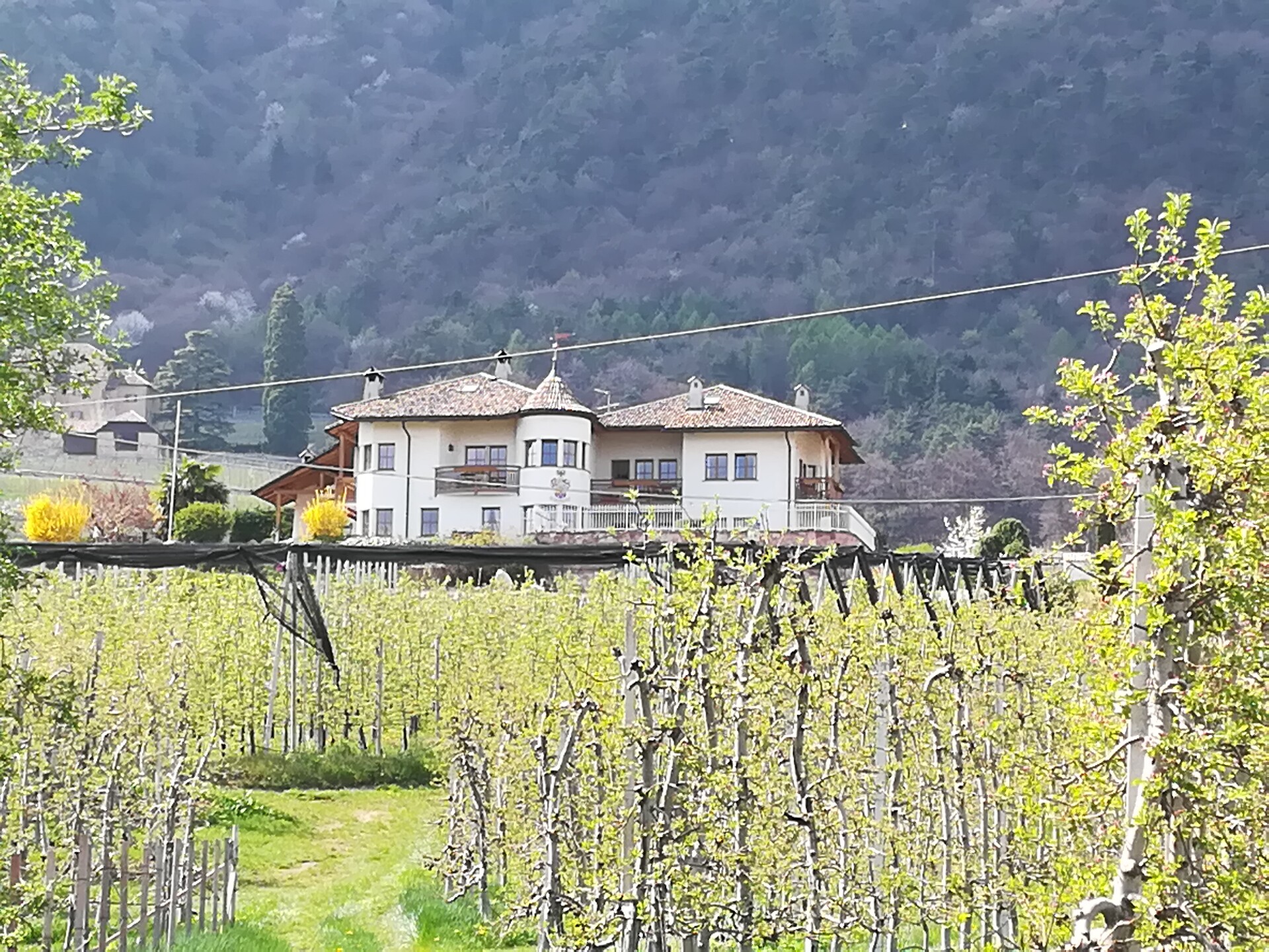 Weinberghof