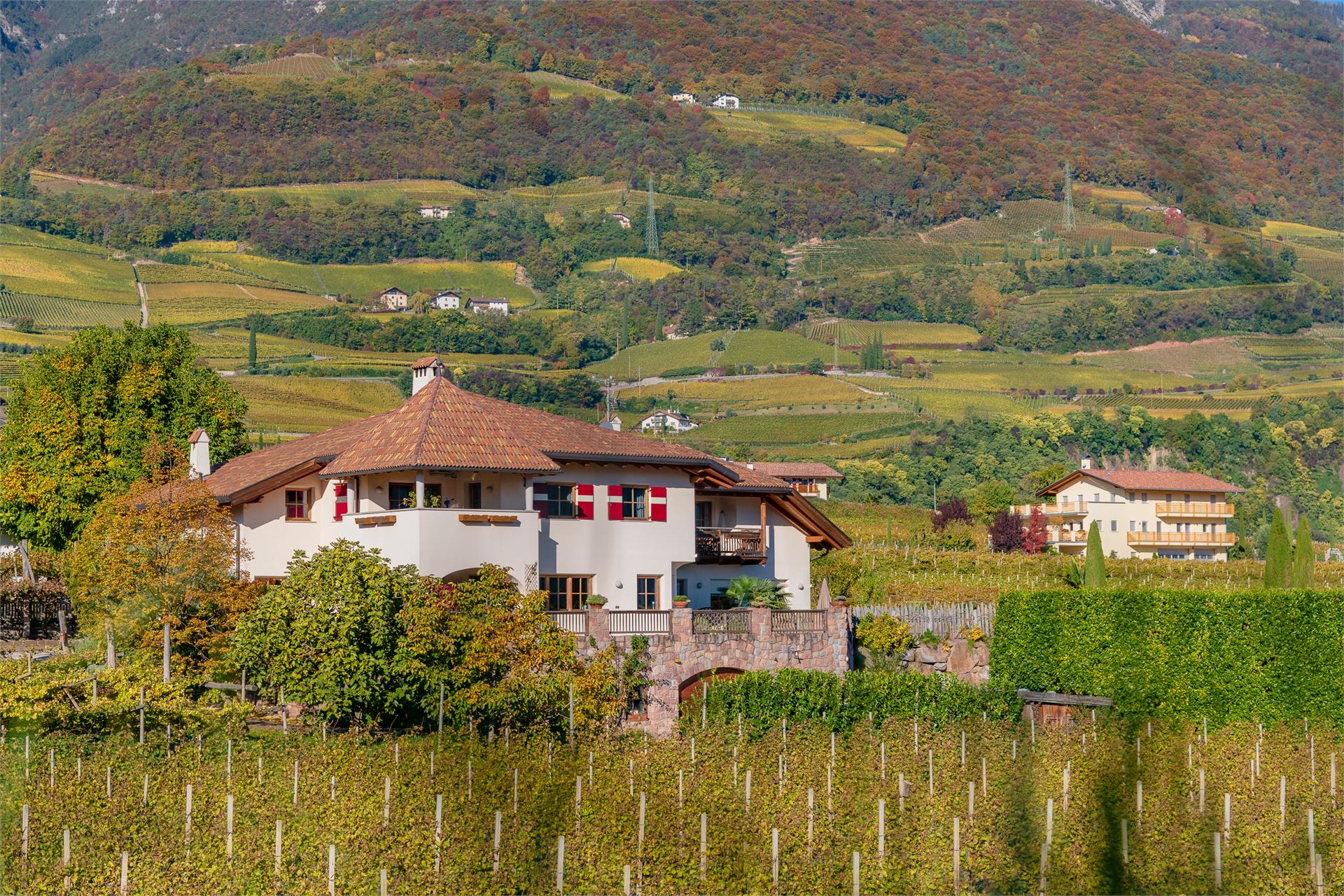 Weinberghof Termeno sulla Strada del Vino 12 suedtirol.info
