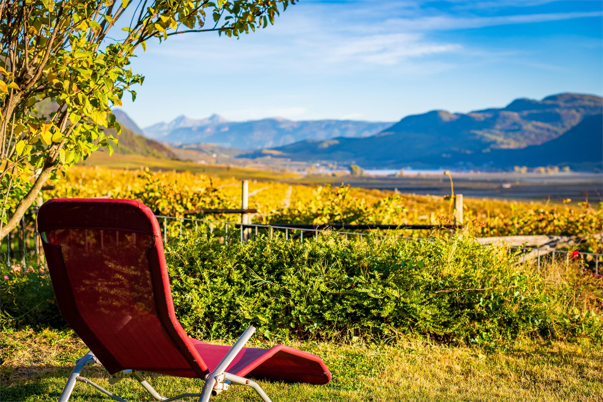 Weinberghof Termeno sulla Strada del Vino 6 suedtirol.info