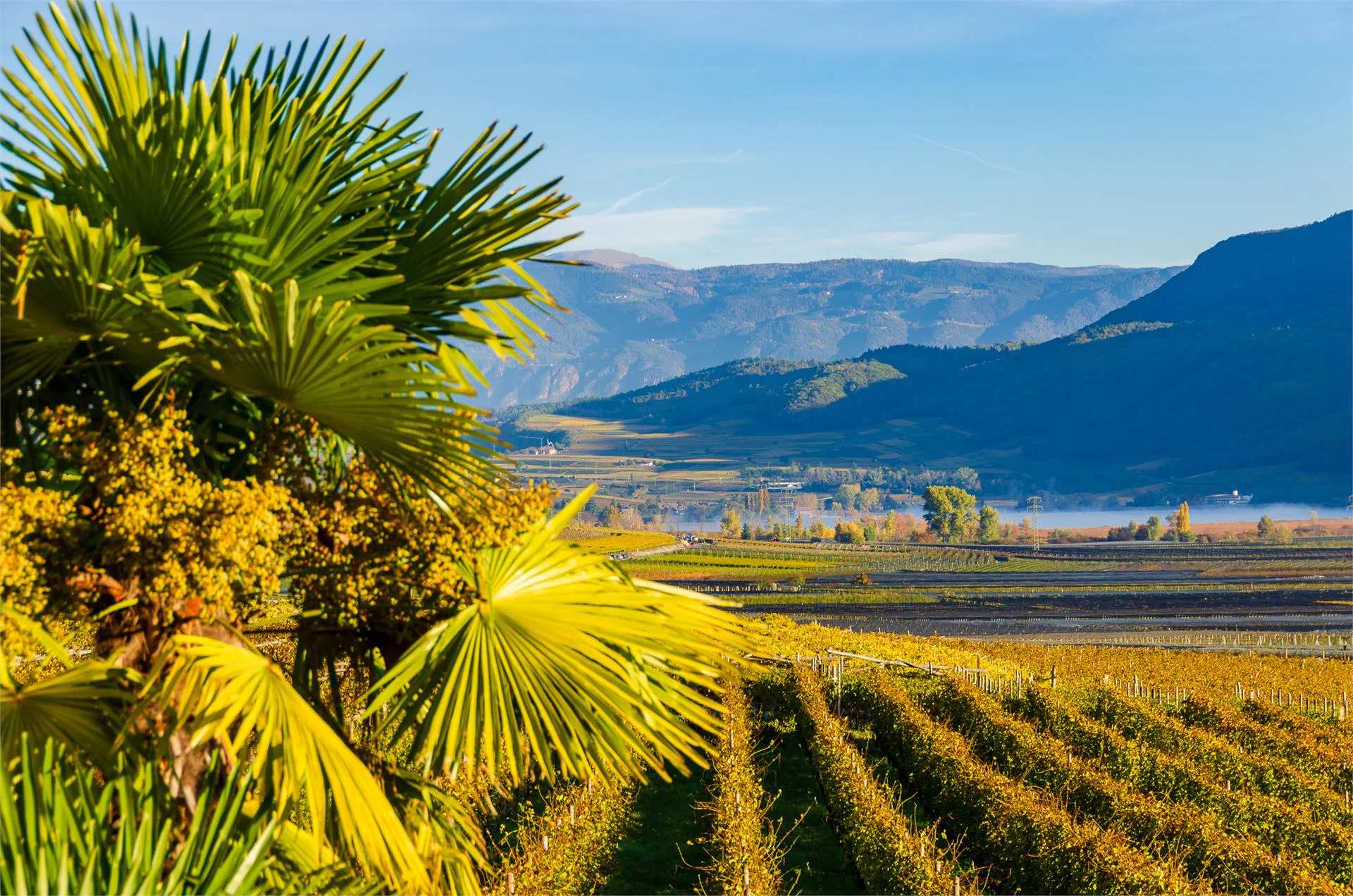 Weinberghof Tramin an der Weinstraße/Termeno sulla Strada del Vino 7 suedtirol.info