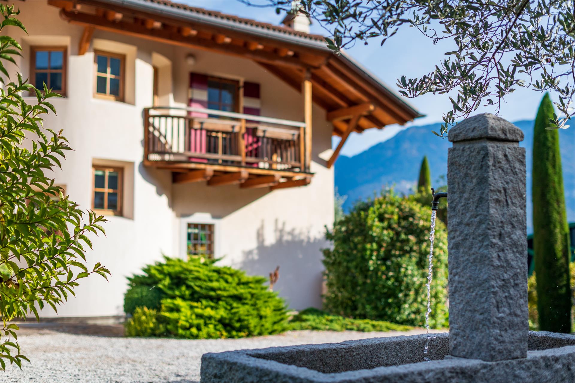 Weinberghof Termeno sulla Strada del Vino 7 suedtirol.info