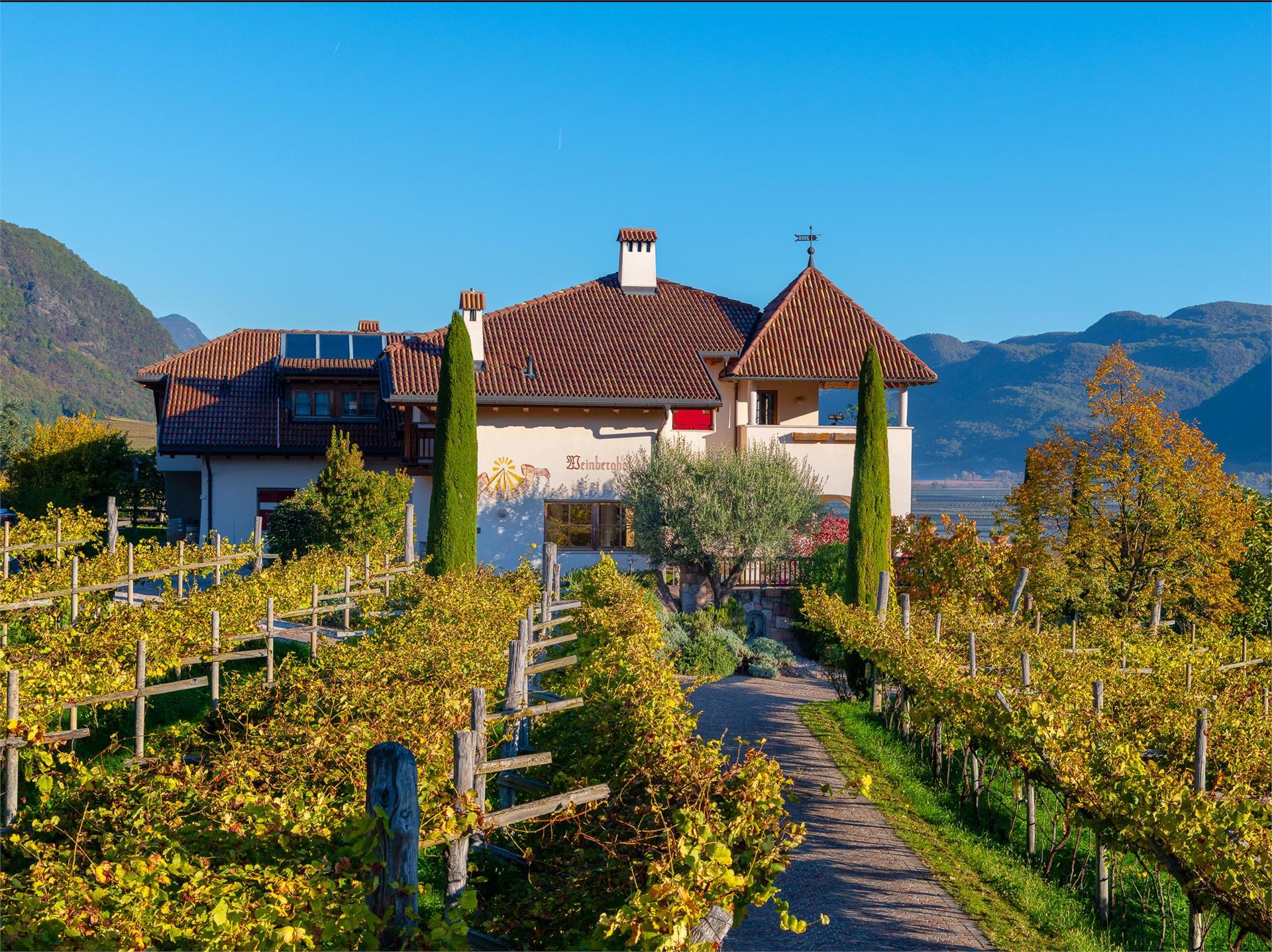 Weinberghof Termeno sulla Strada del Vino 1 suedtirol.info