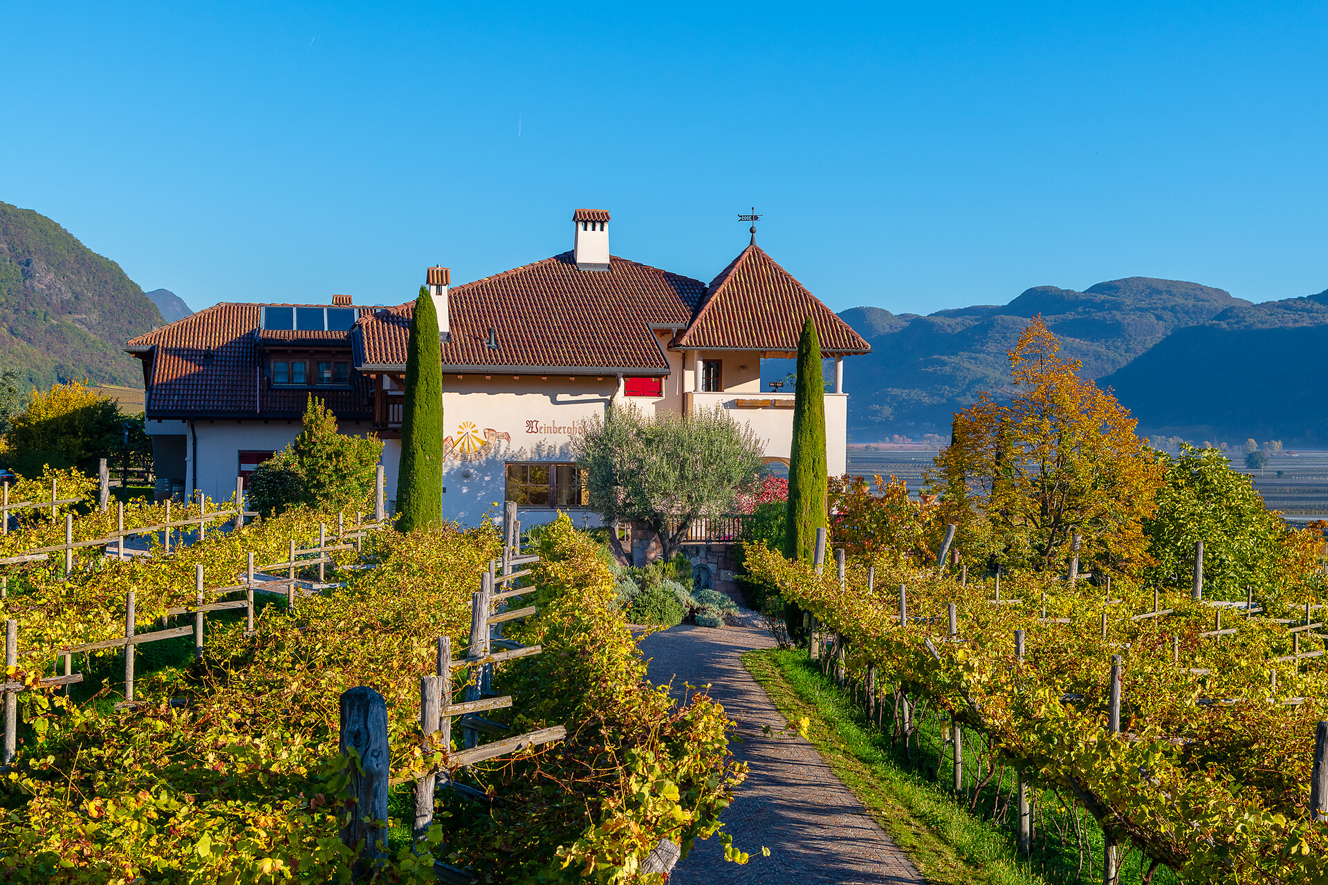 Weinberghof - Alto Adige Wine Road - #3 - suedtirol.info