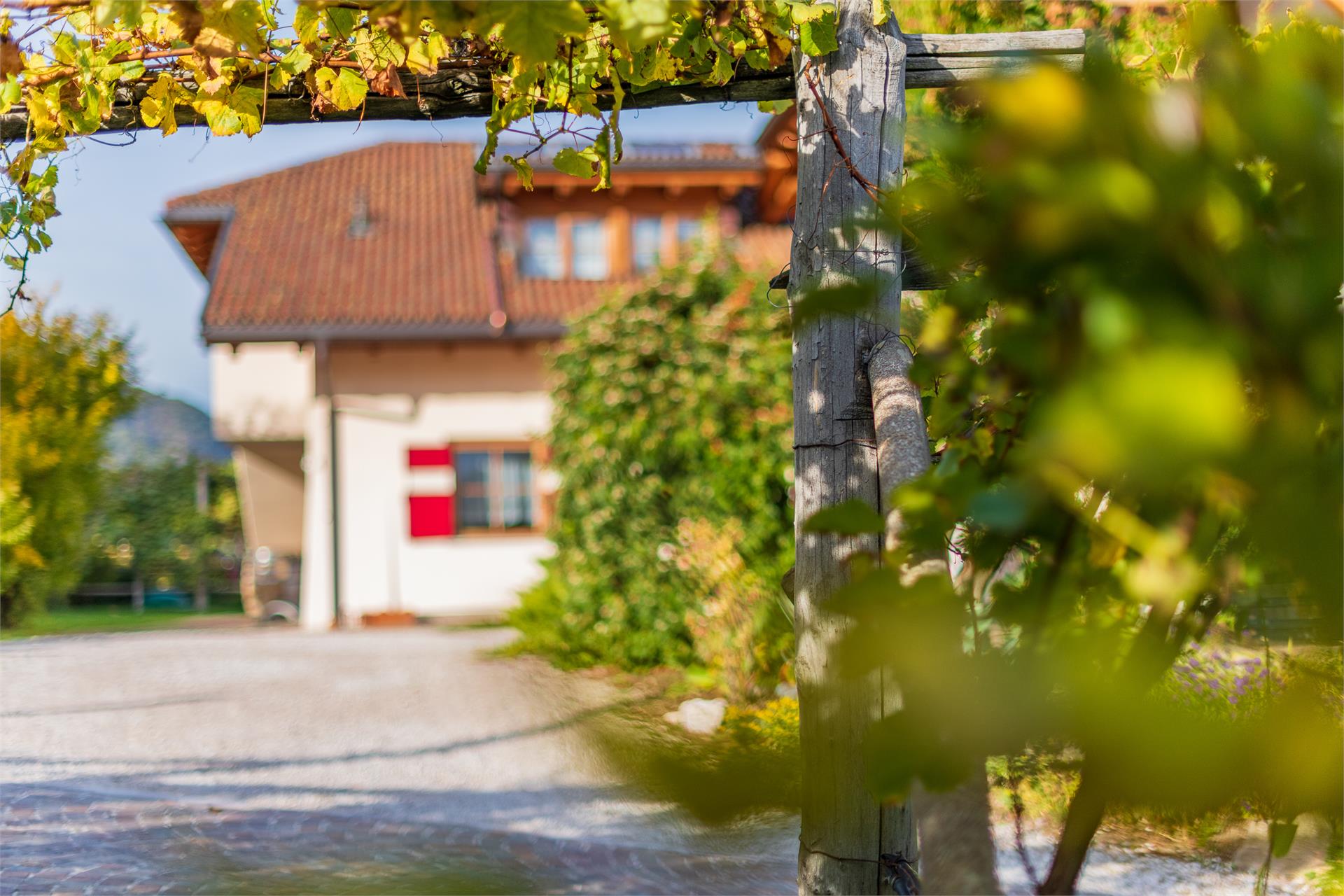 Weinberghof Termeno sulla Strada del Vino 10 suedtirol.info