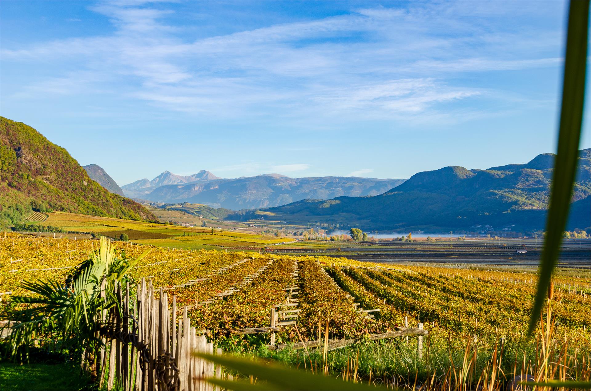 Weinberghof Termeno sulla Strada del Vino 11 suedtirol.info