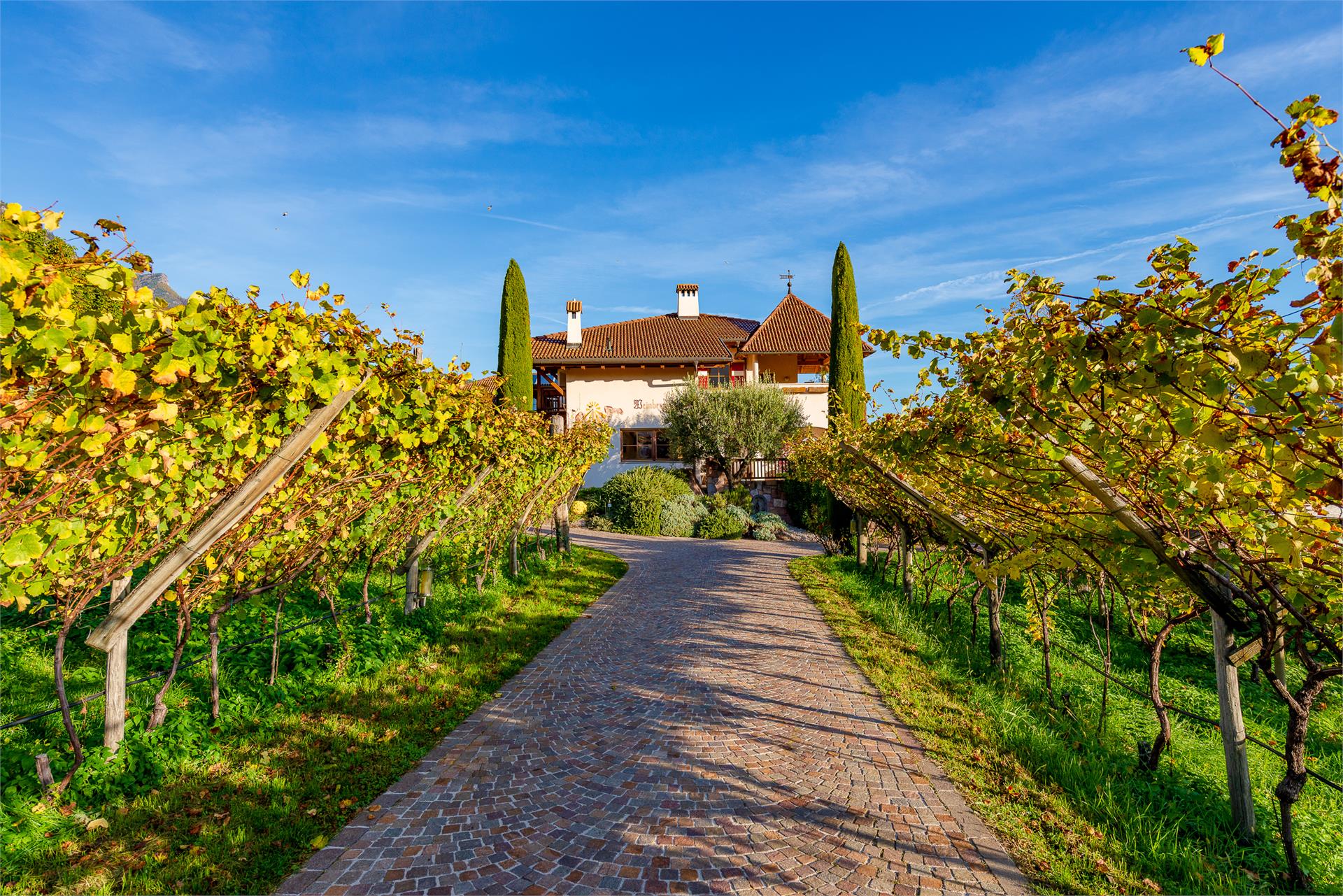 Weinberghof Termeno sulla Strada del Vino 5 suedtirol.info