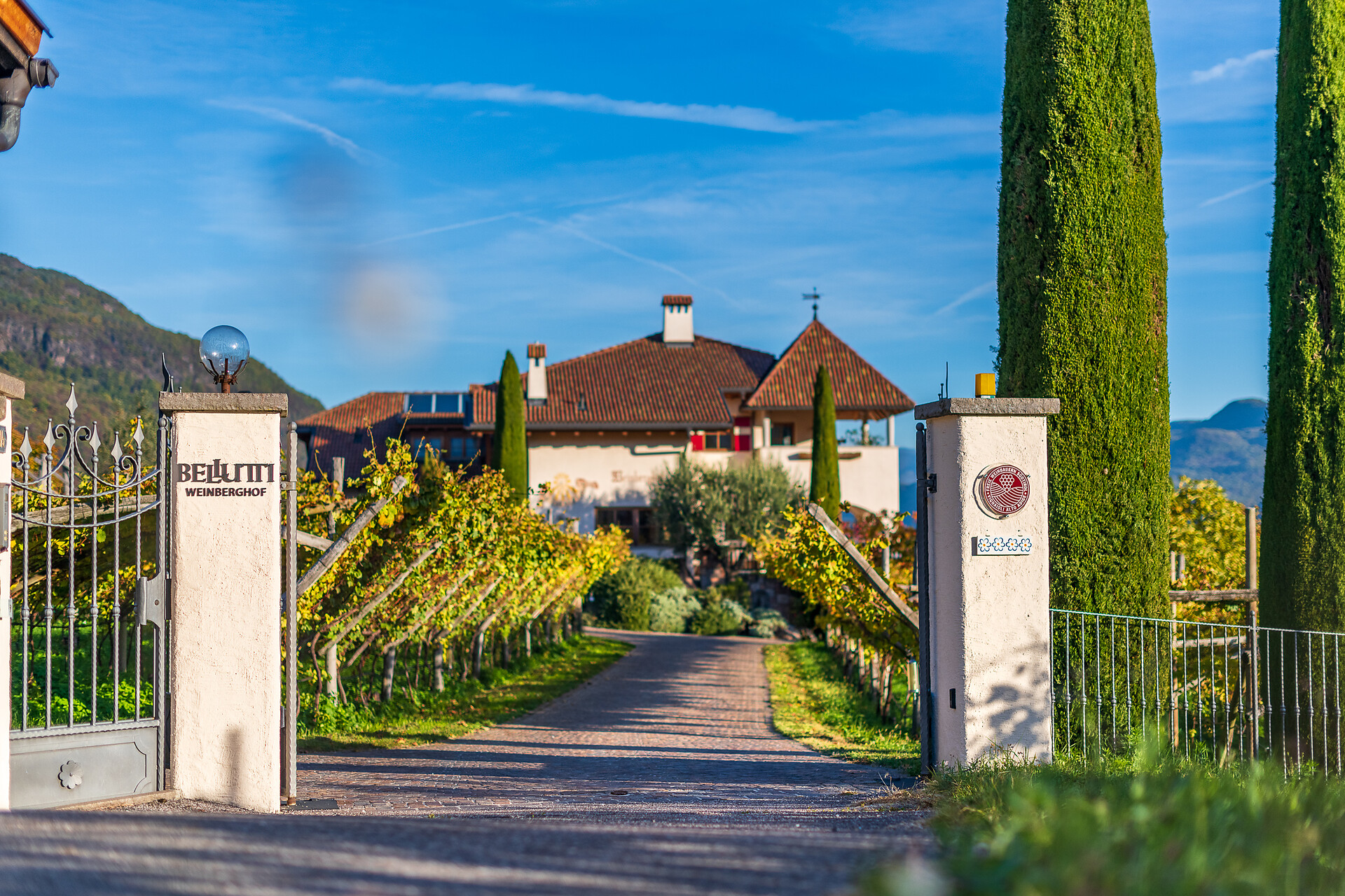 Weinberghof Termeno sulla Strada del Vino 2 suedtirol.info