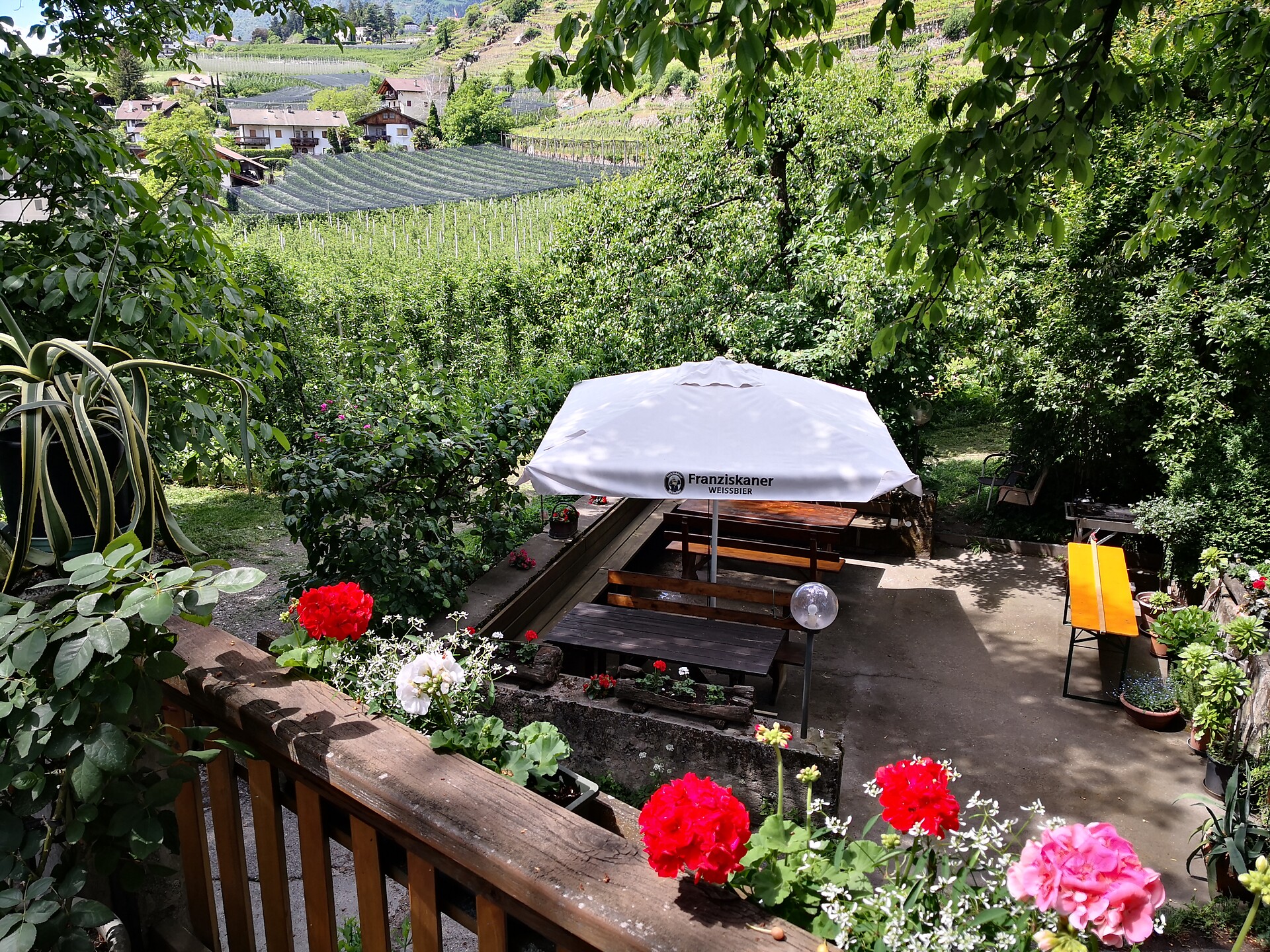 Wildhof