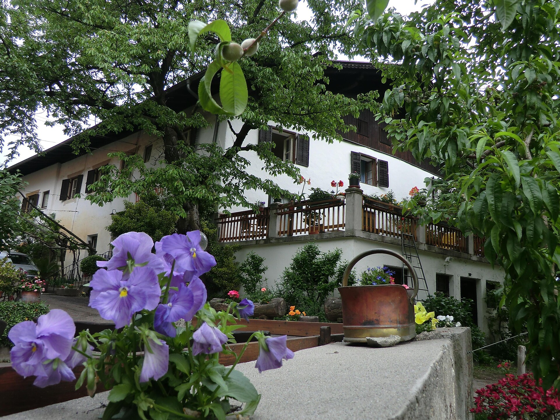 Wildhof