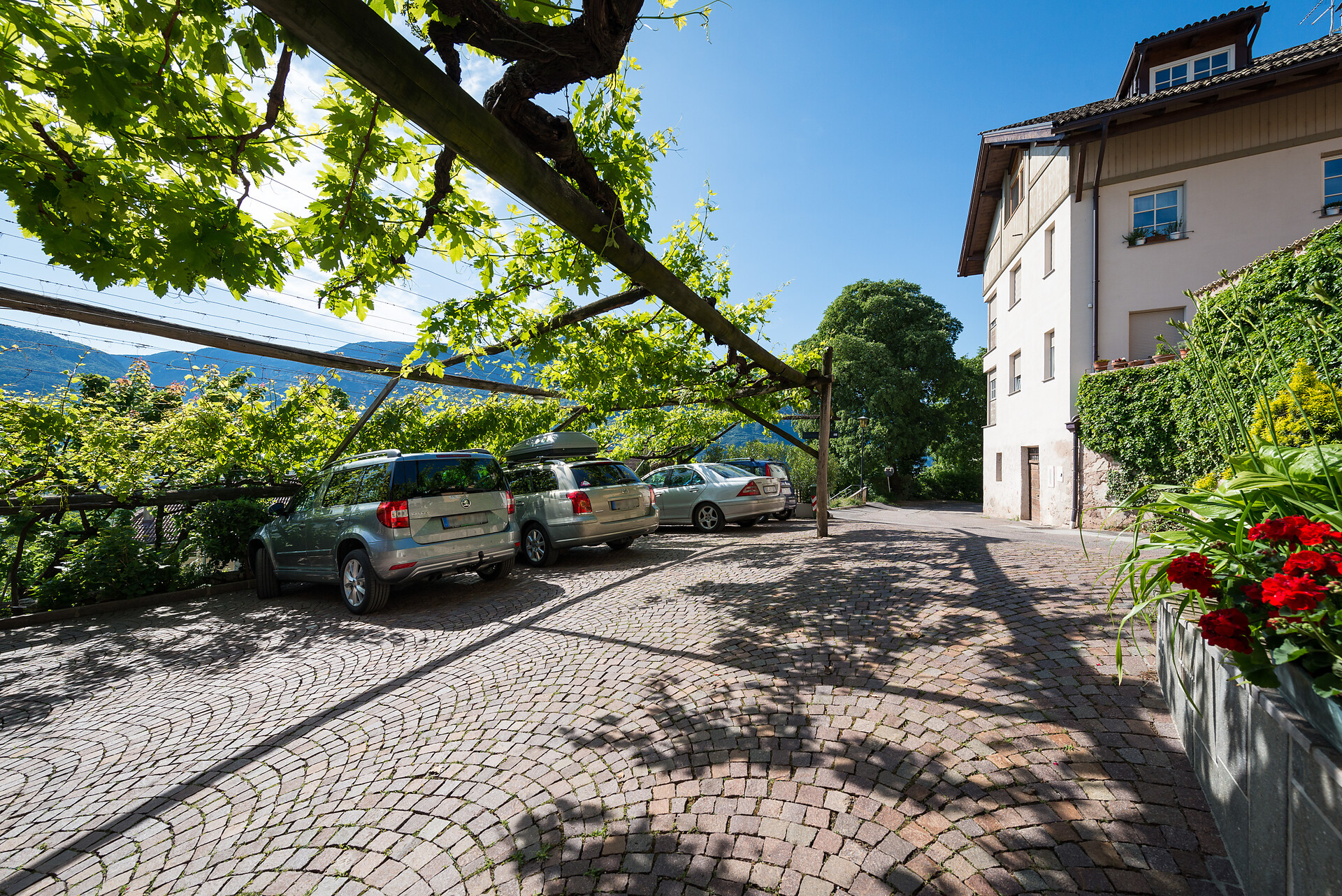 Weishof Termeno sulla Strada del Vino 6 suedtirol.info