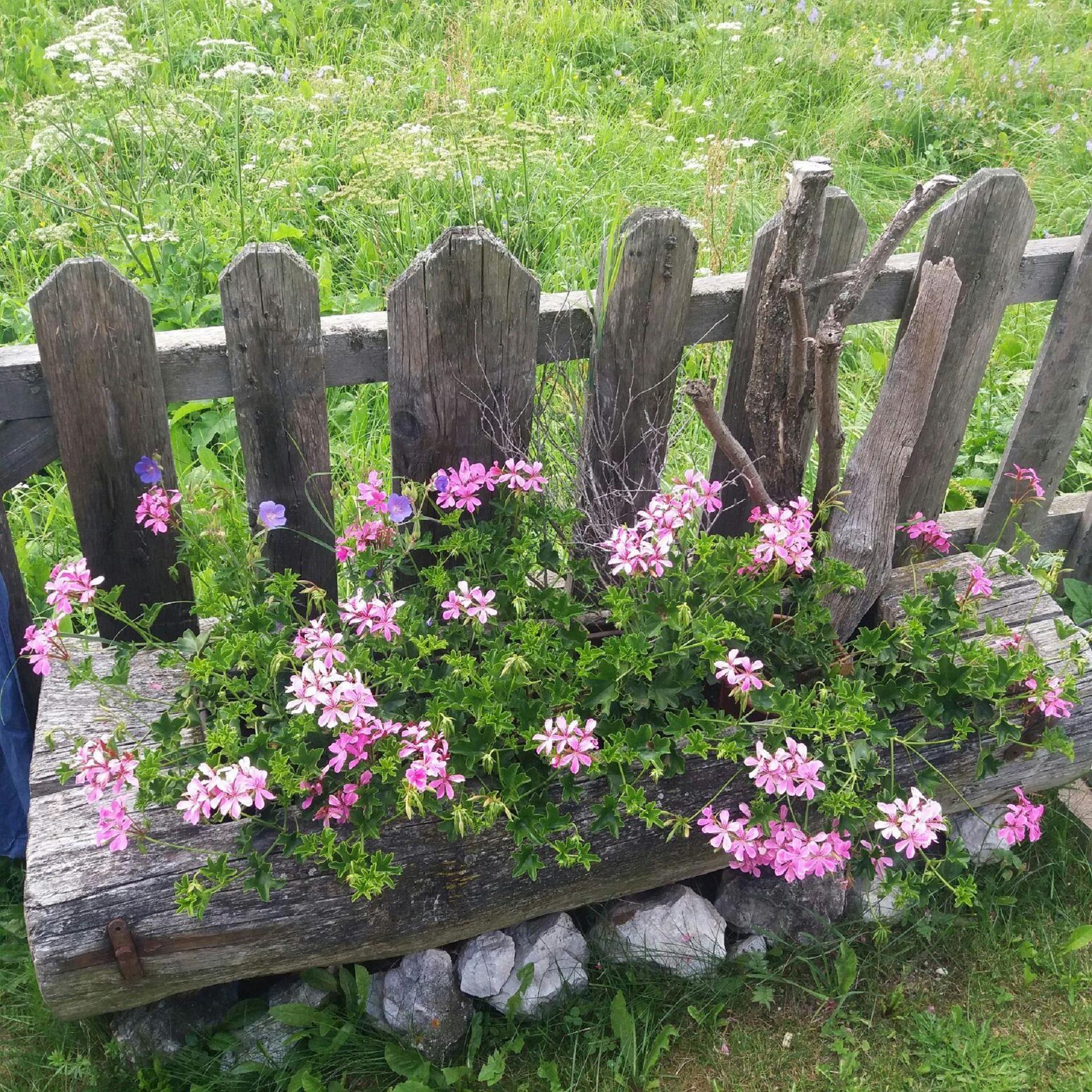 Winklerhof Ferienwohnung Mühlbach 10 suedtirol.info