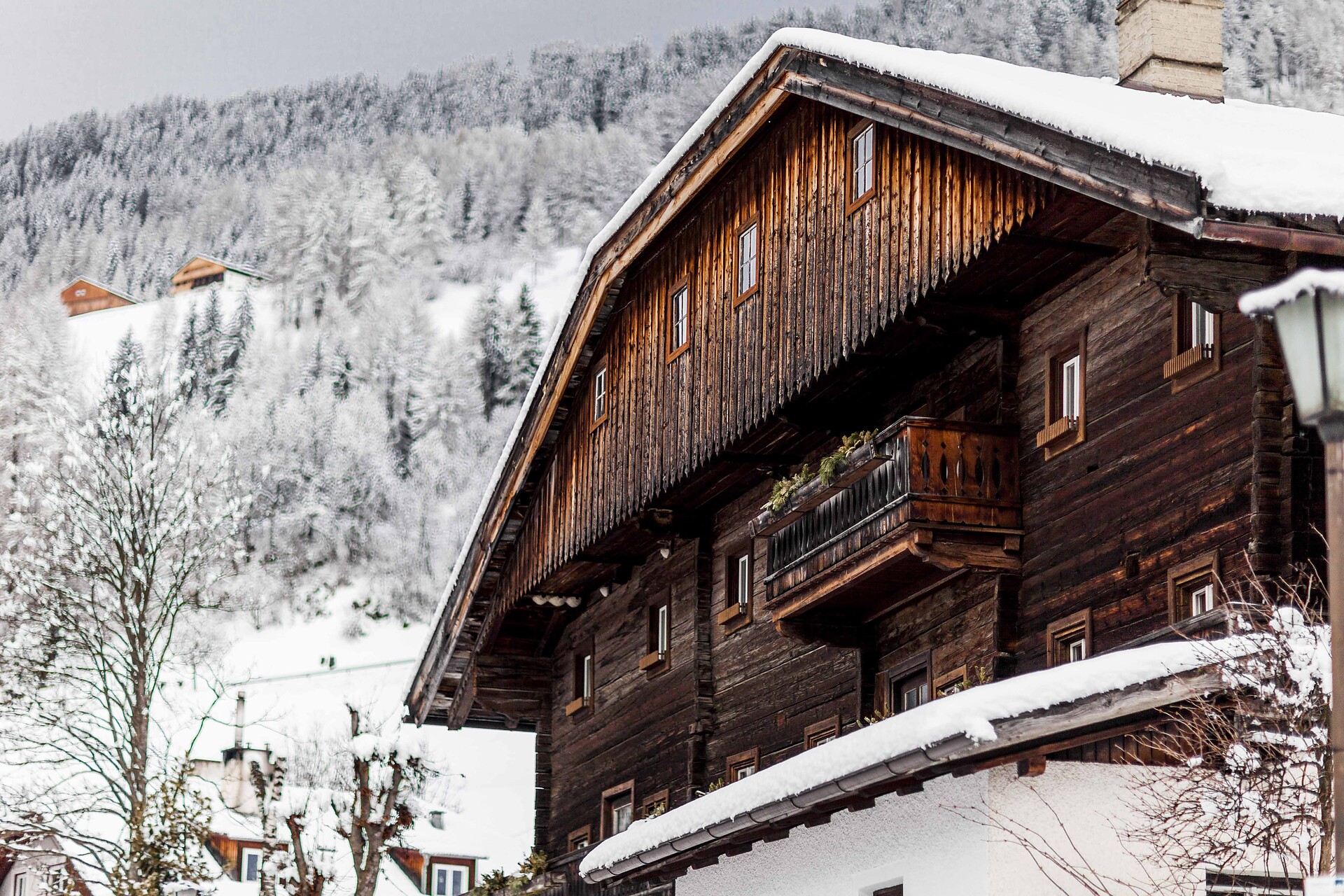 Wassermann in winter