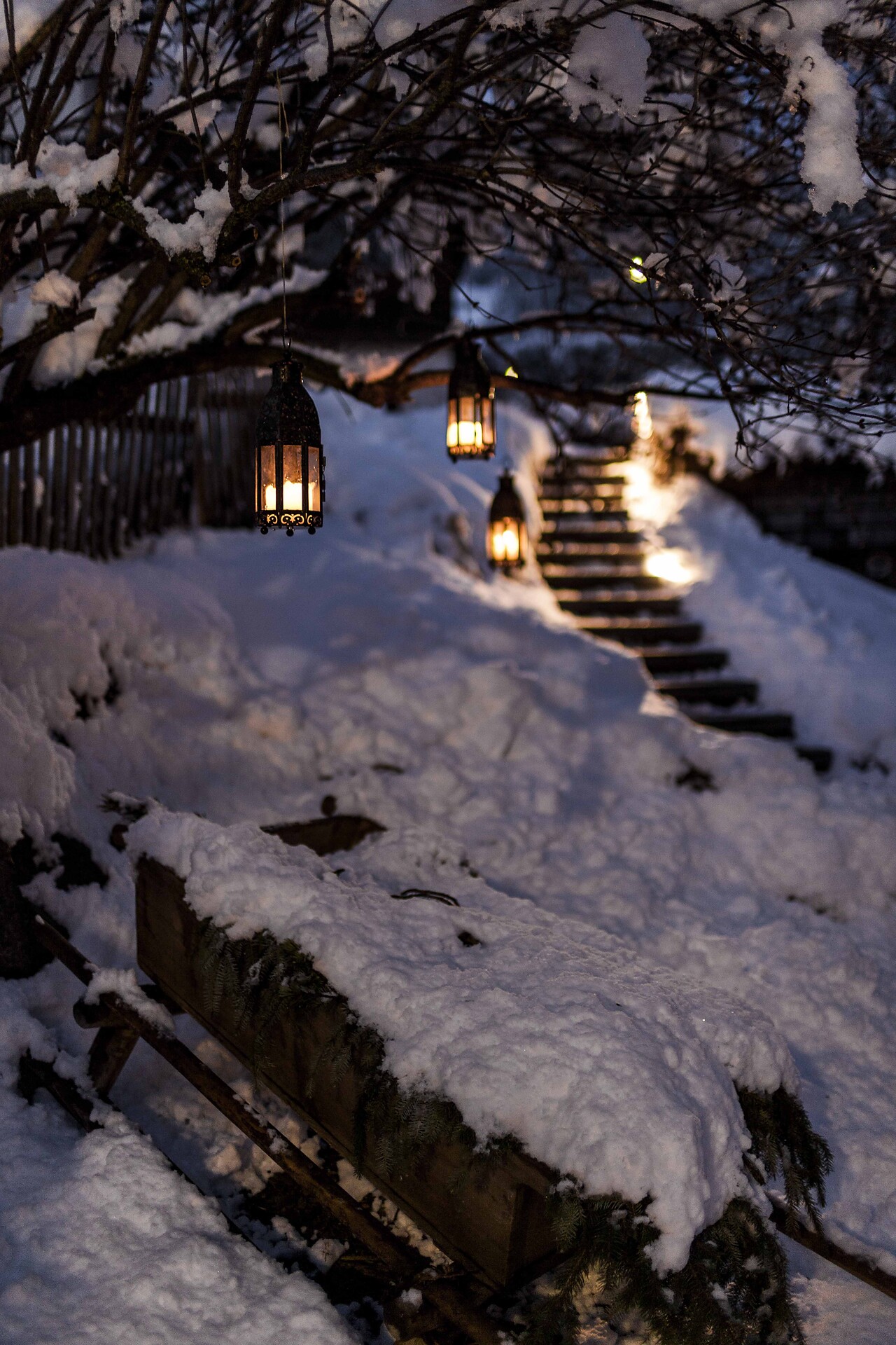 Wassermann in winter