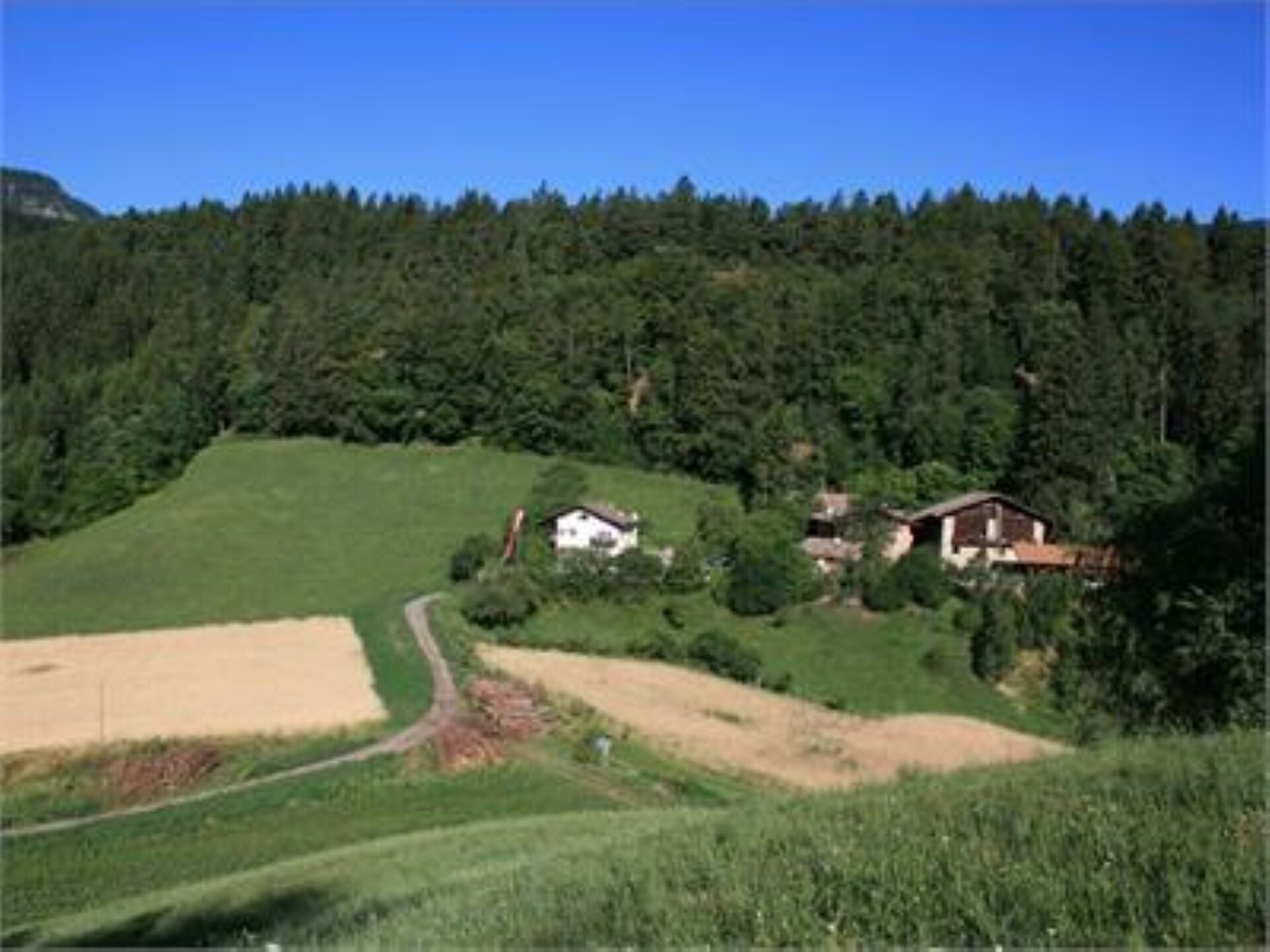 Weckhof