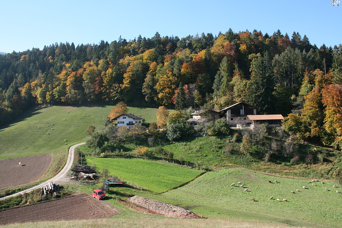 Weckhof