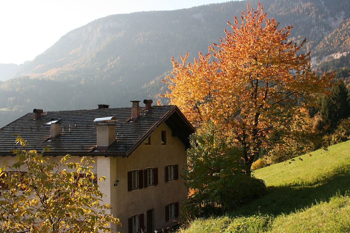 Weckhof