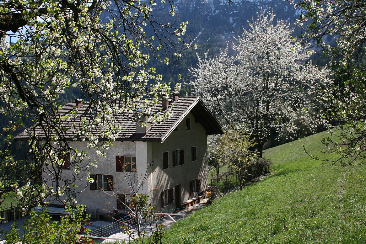 Weckhof