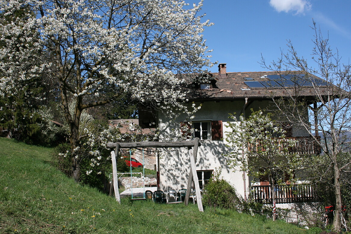 Weckhof