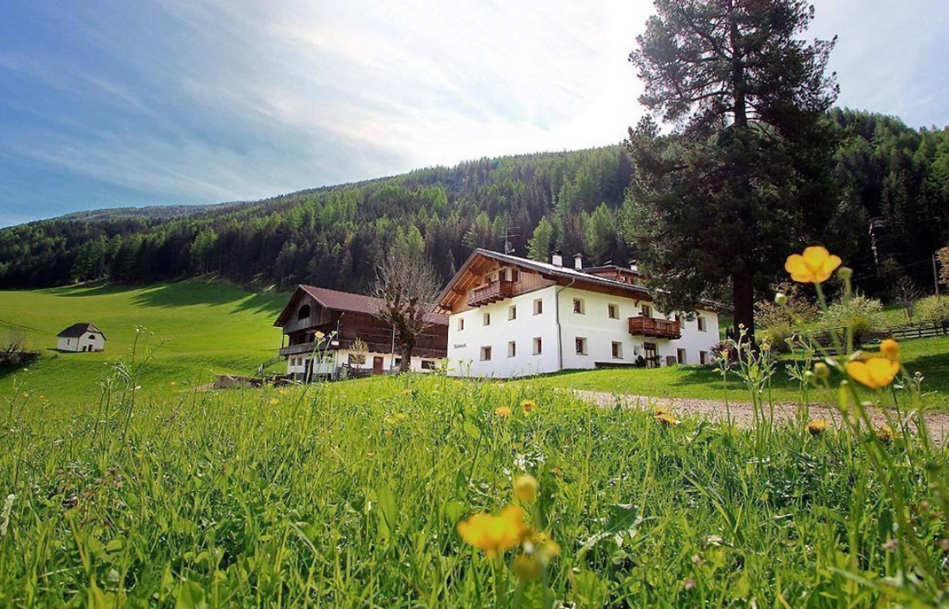 Weißenbachlhof