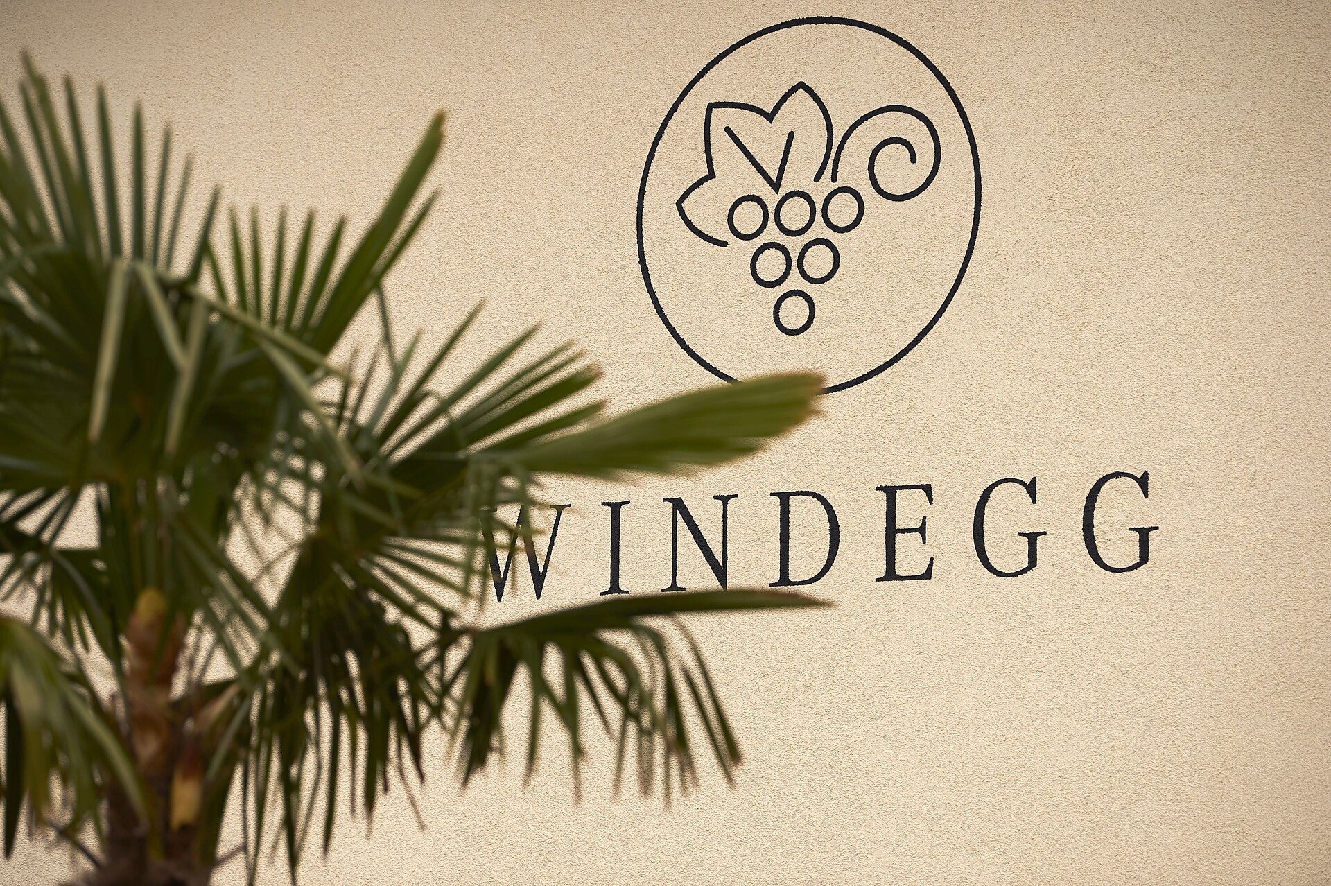 Tenuta Windegg a Caldaro al Lago