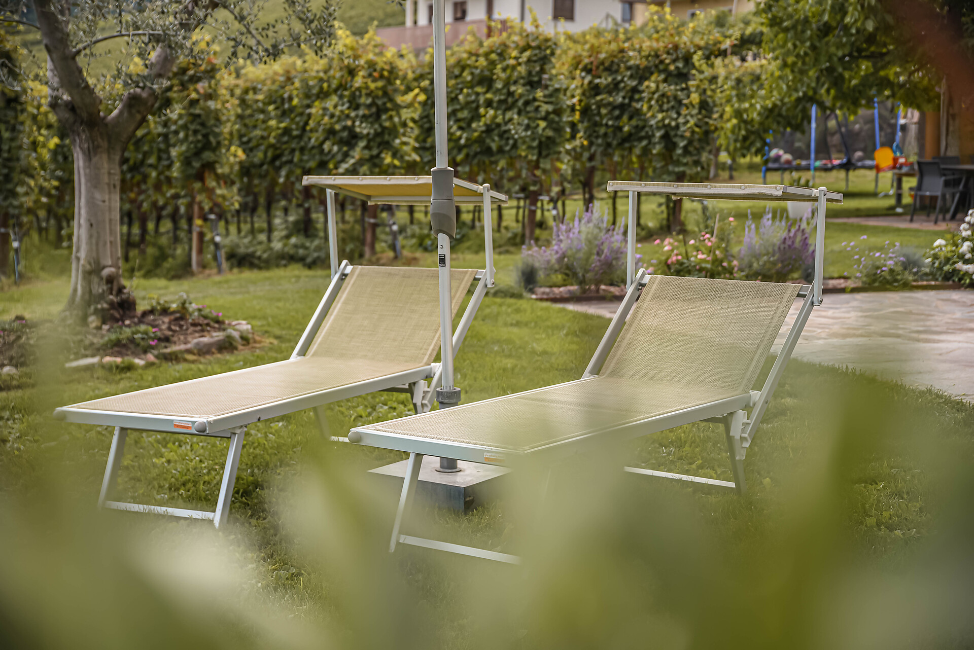 giardino