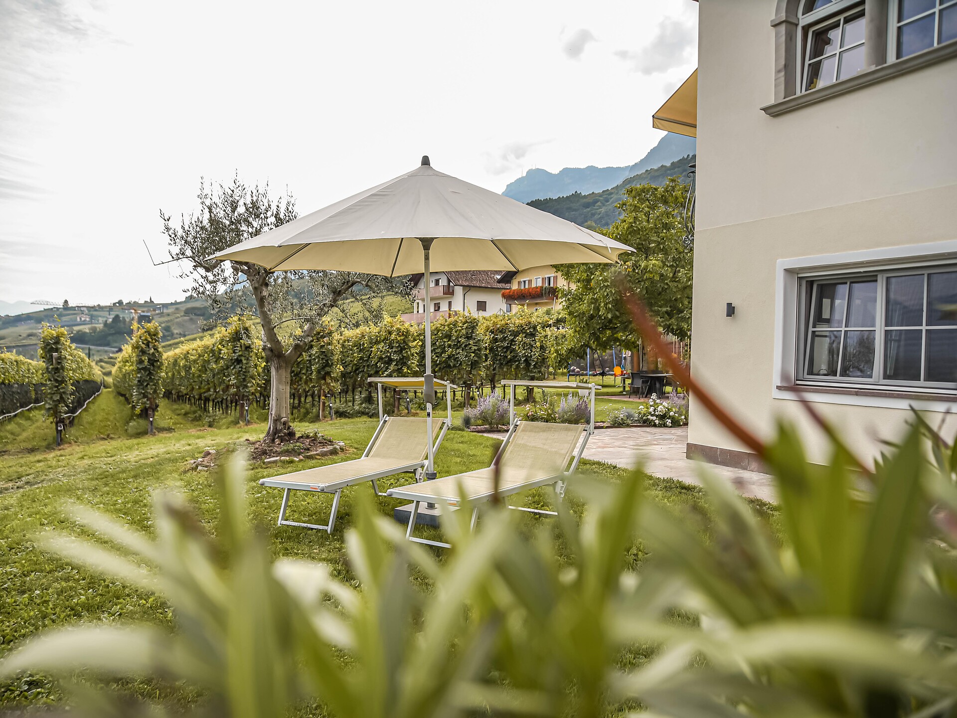 Weingut Zail