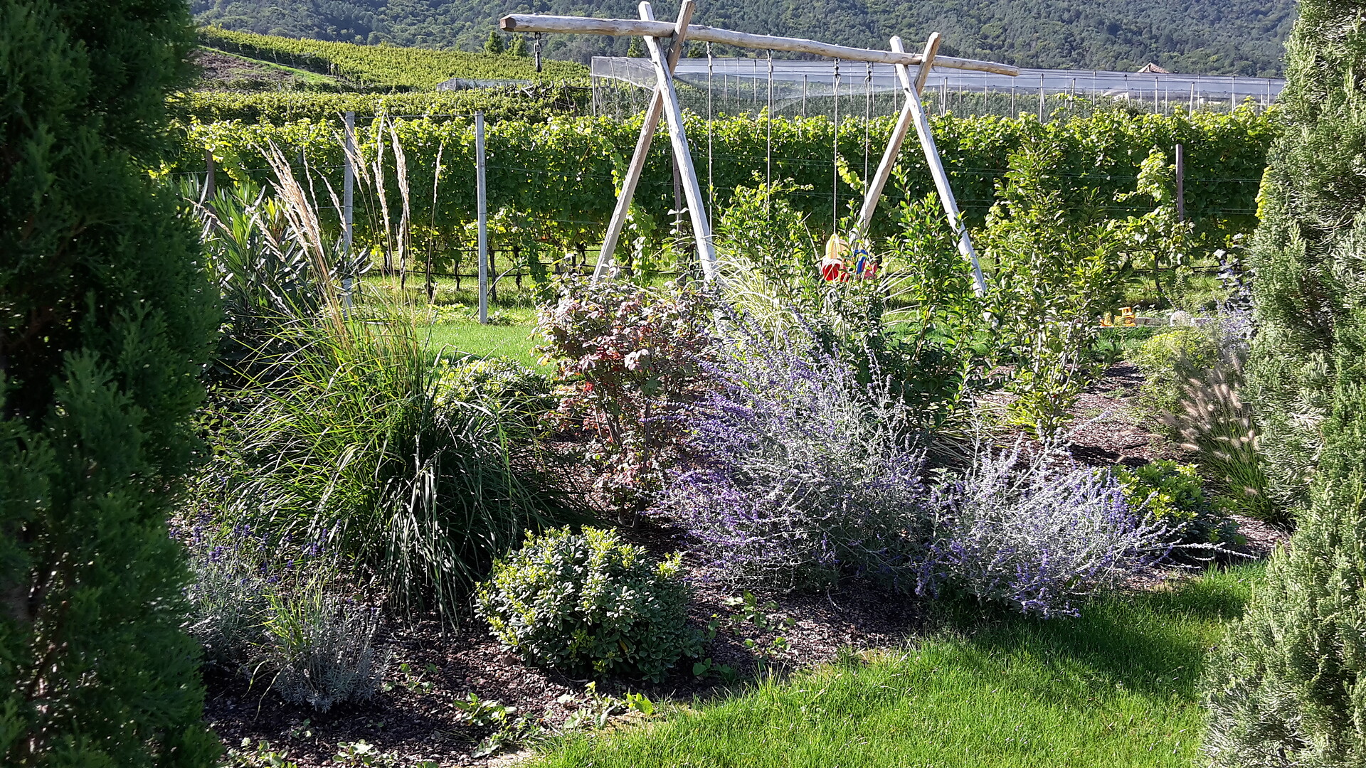 Weingut am Platzl - Alto Adige Wine Road - #22 - suedtirol.info