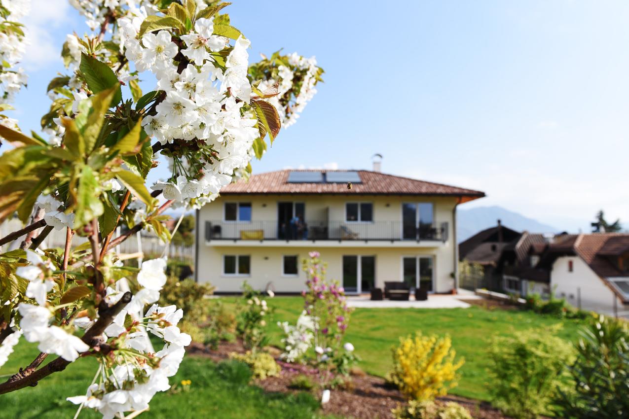 Weingut am Platzl Eppan an der Weinstraße 2 suedtirol.info